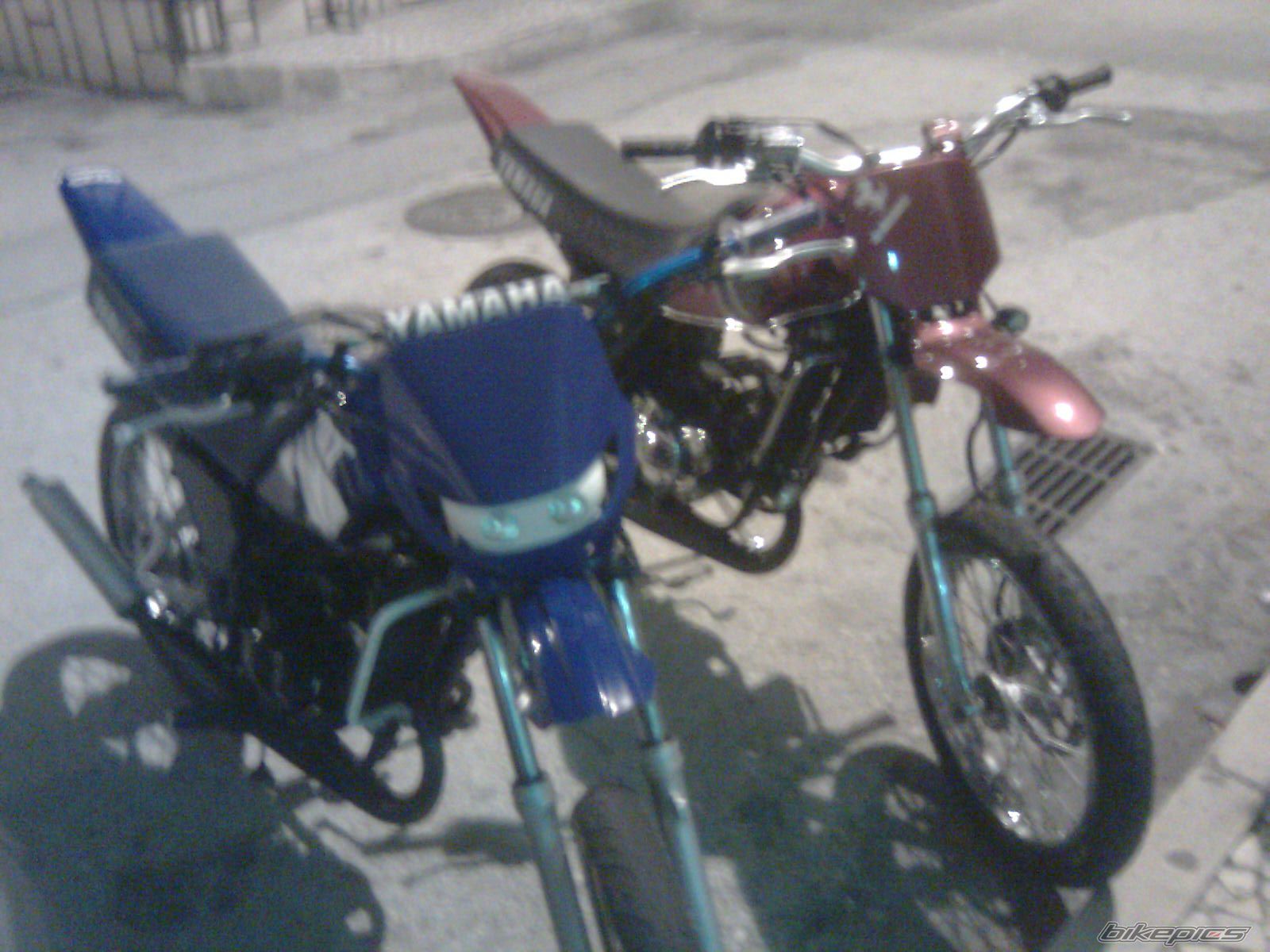 Photo 1521032