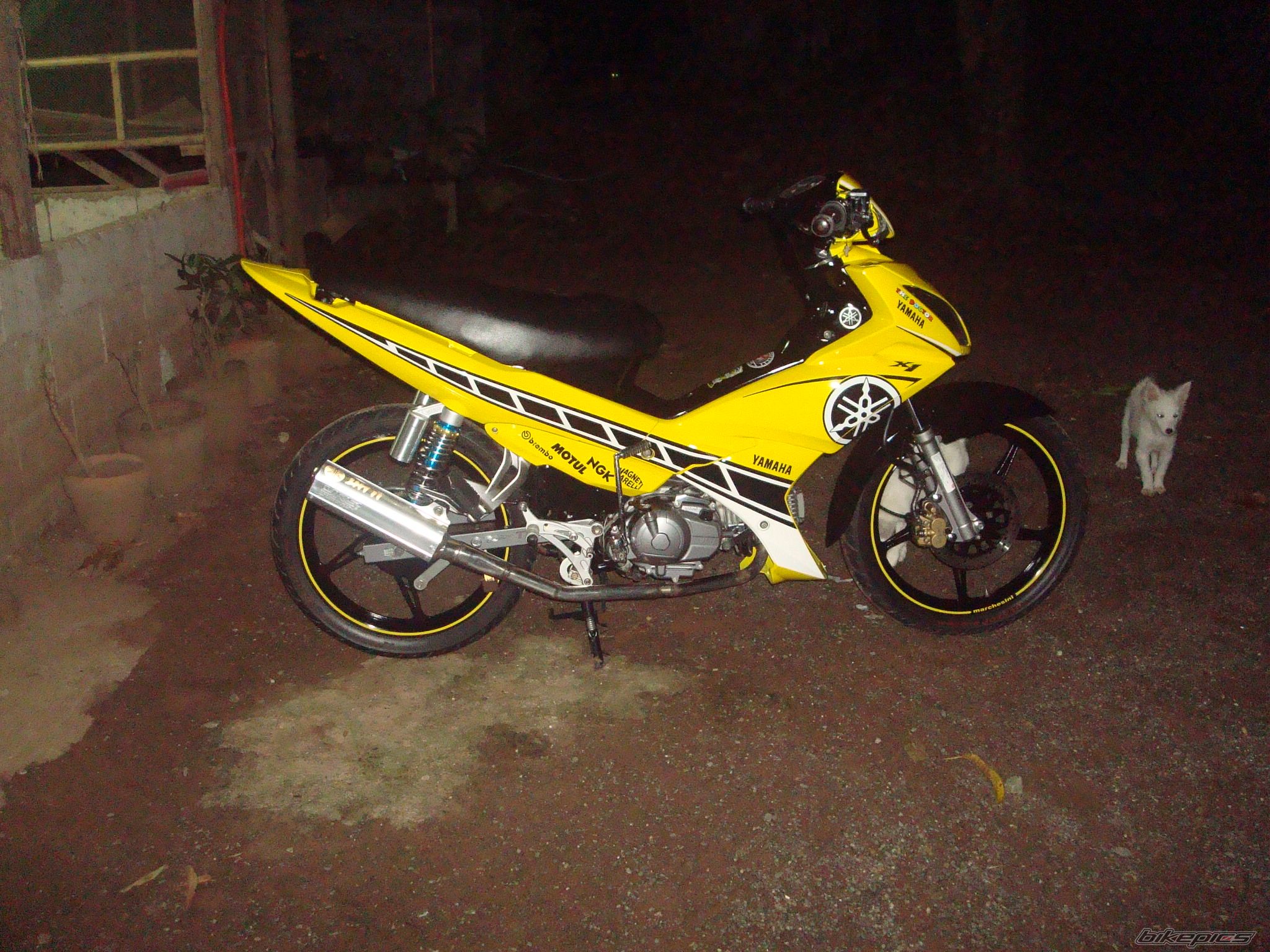 Photo 1521120