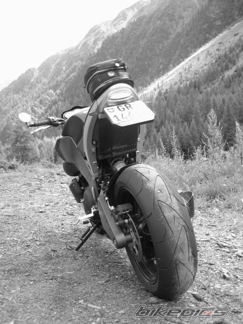Photo 1521230