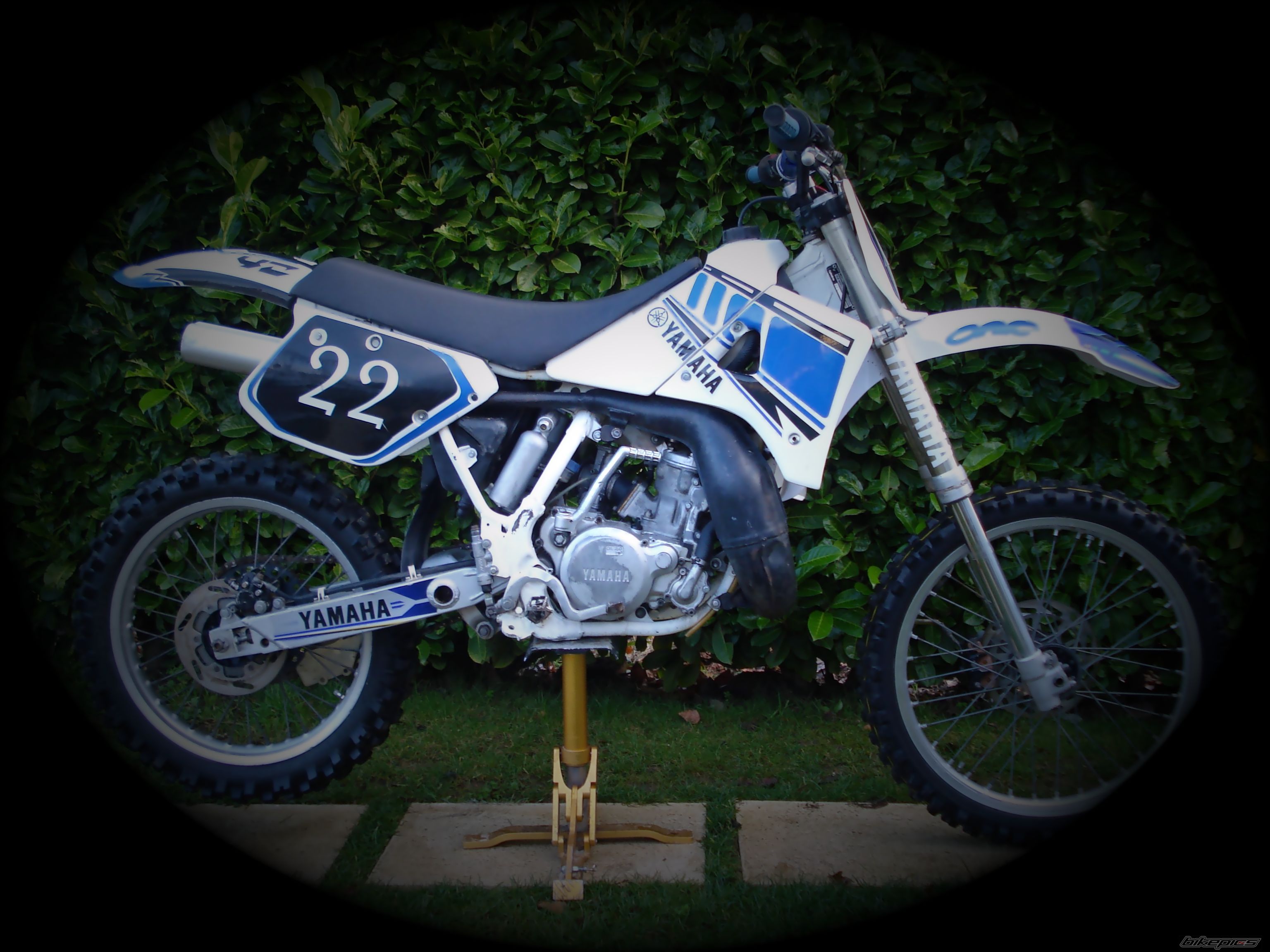 Photo 1521361