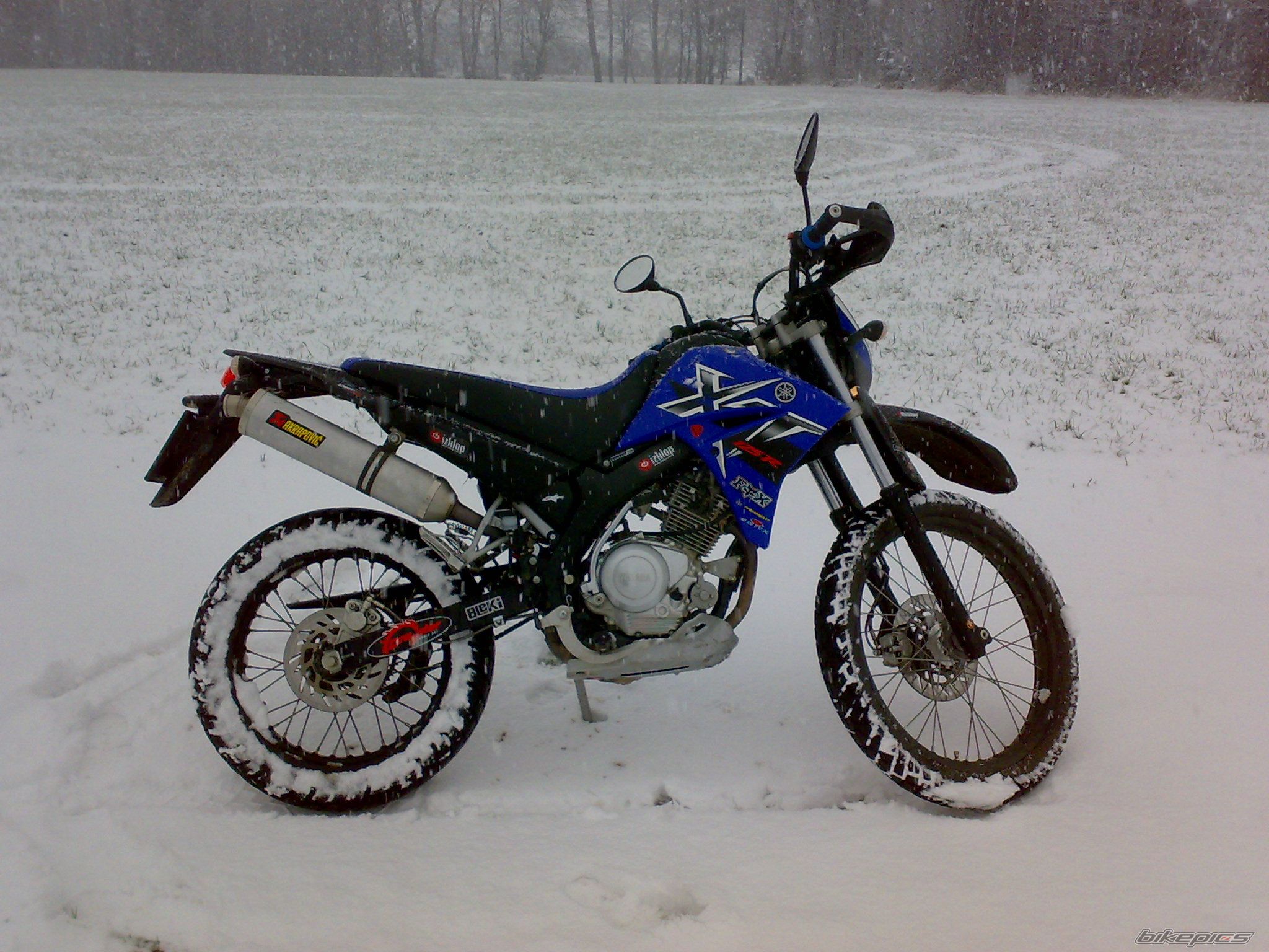 Photo 1521369