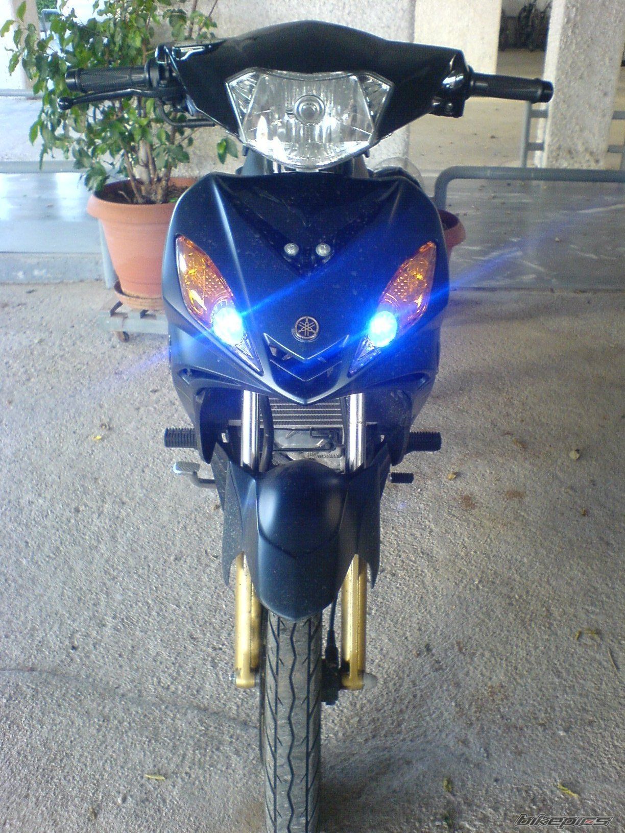 Photo 1521371