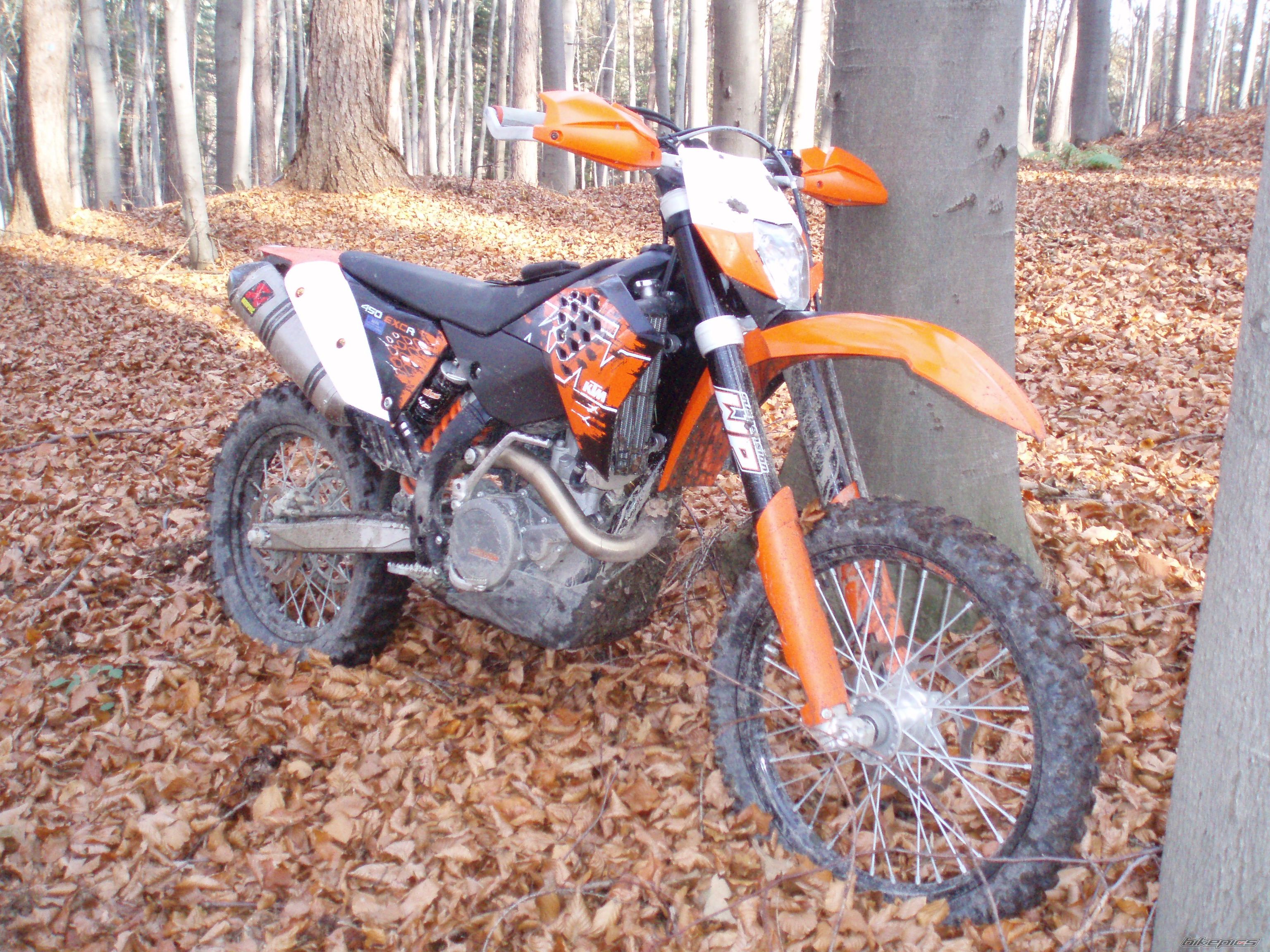 Photo 1521411