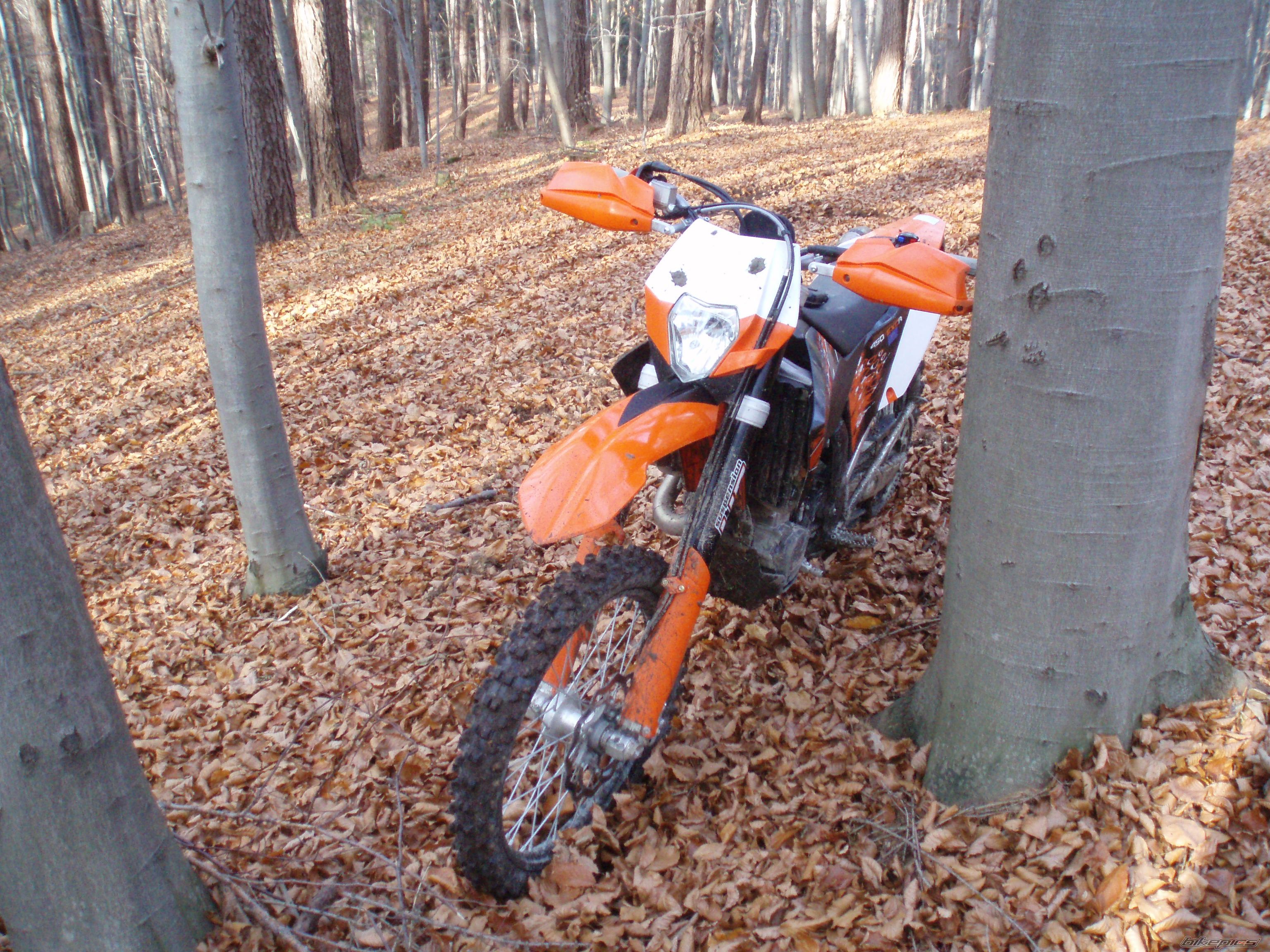 Photo 1521417
