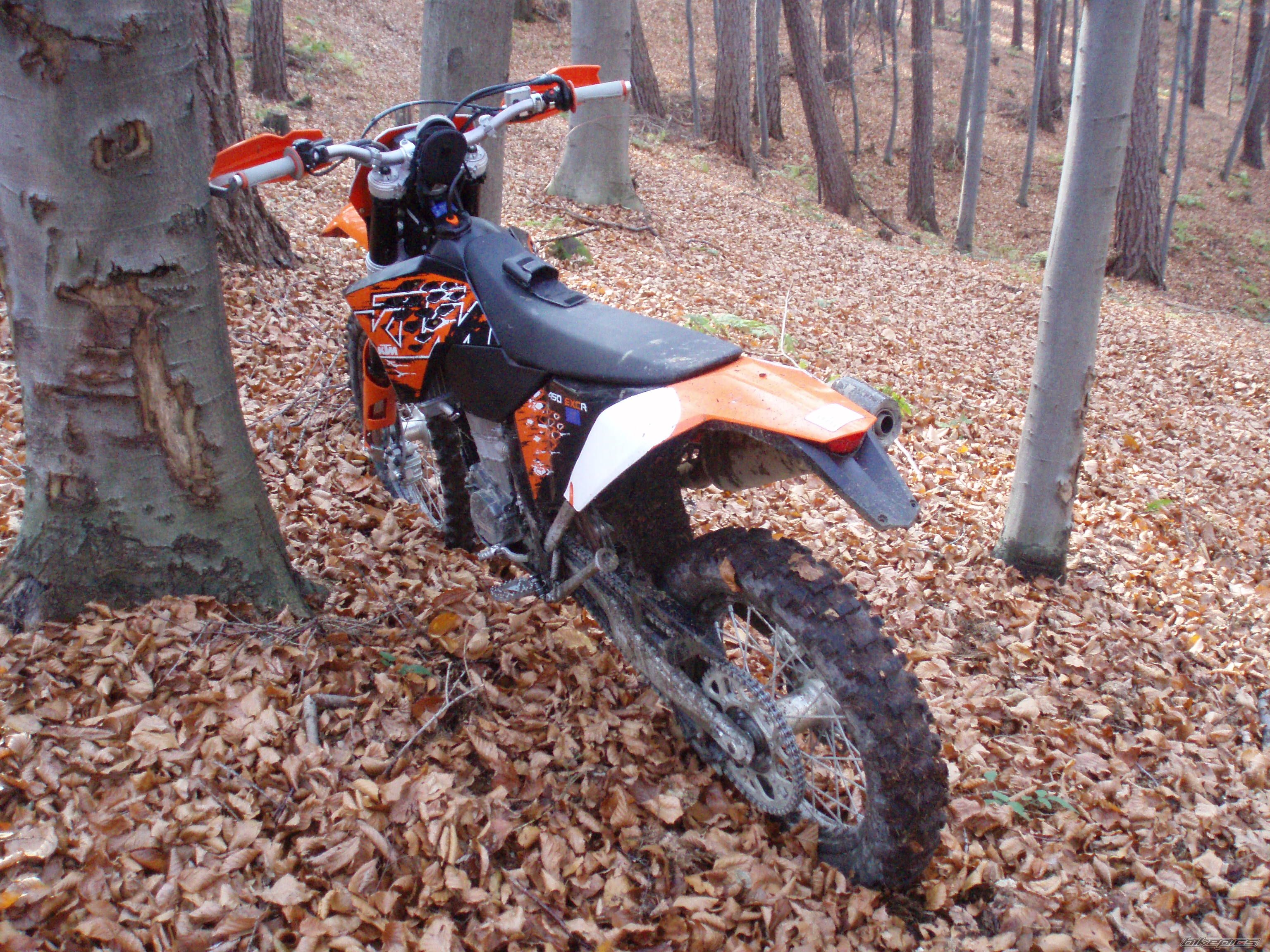 Photo 1521425