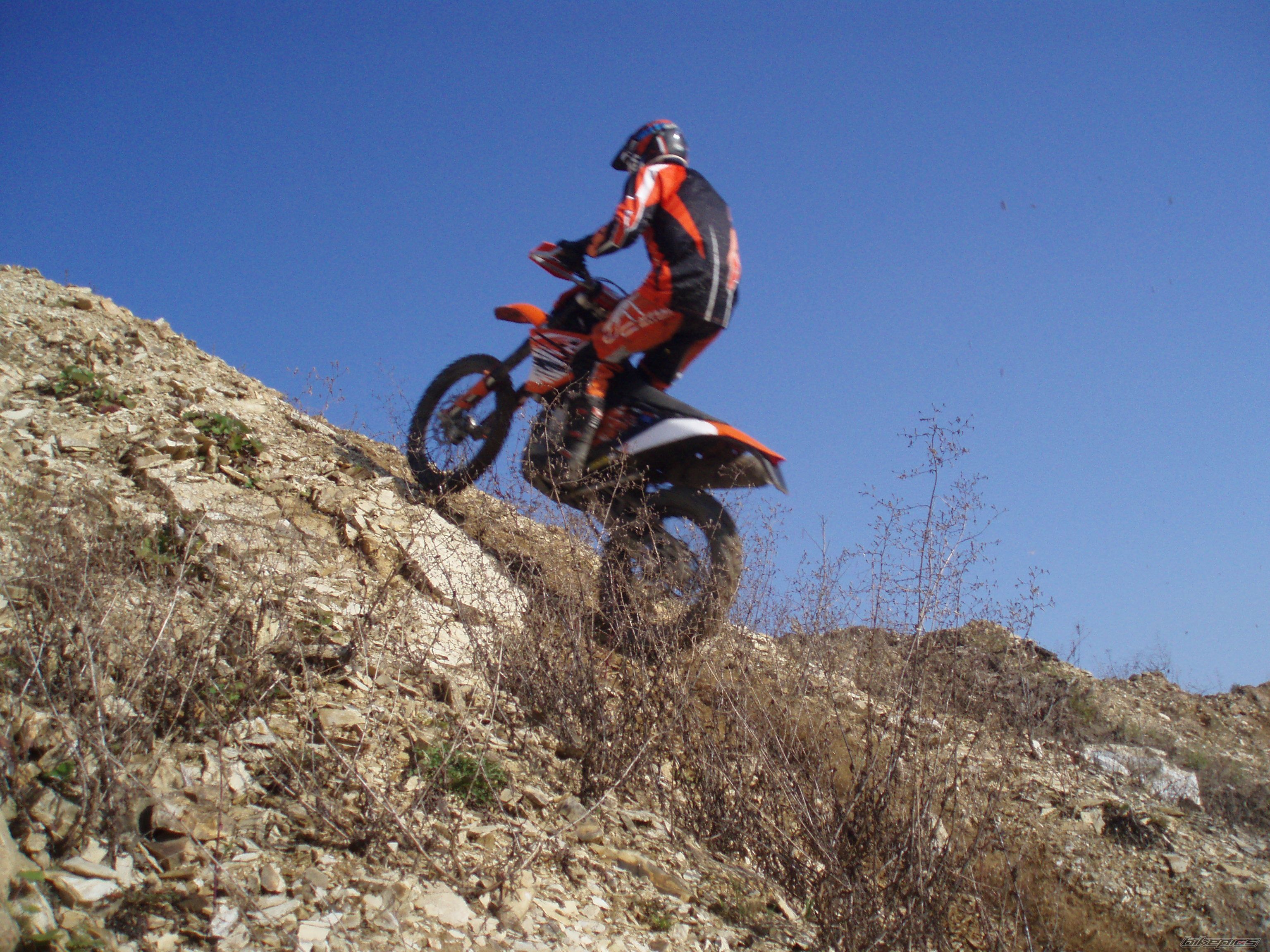 Photo 1521441