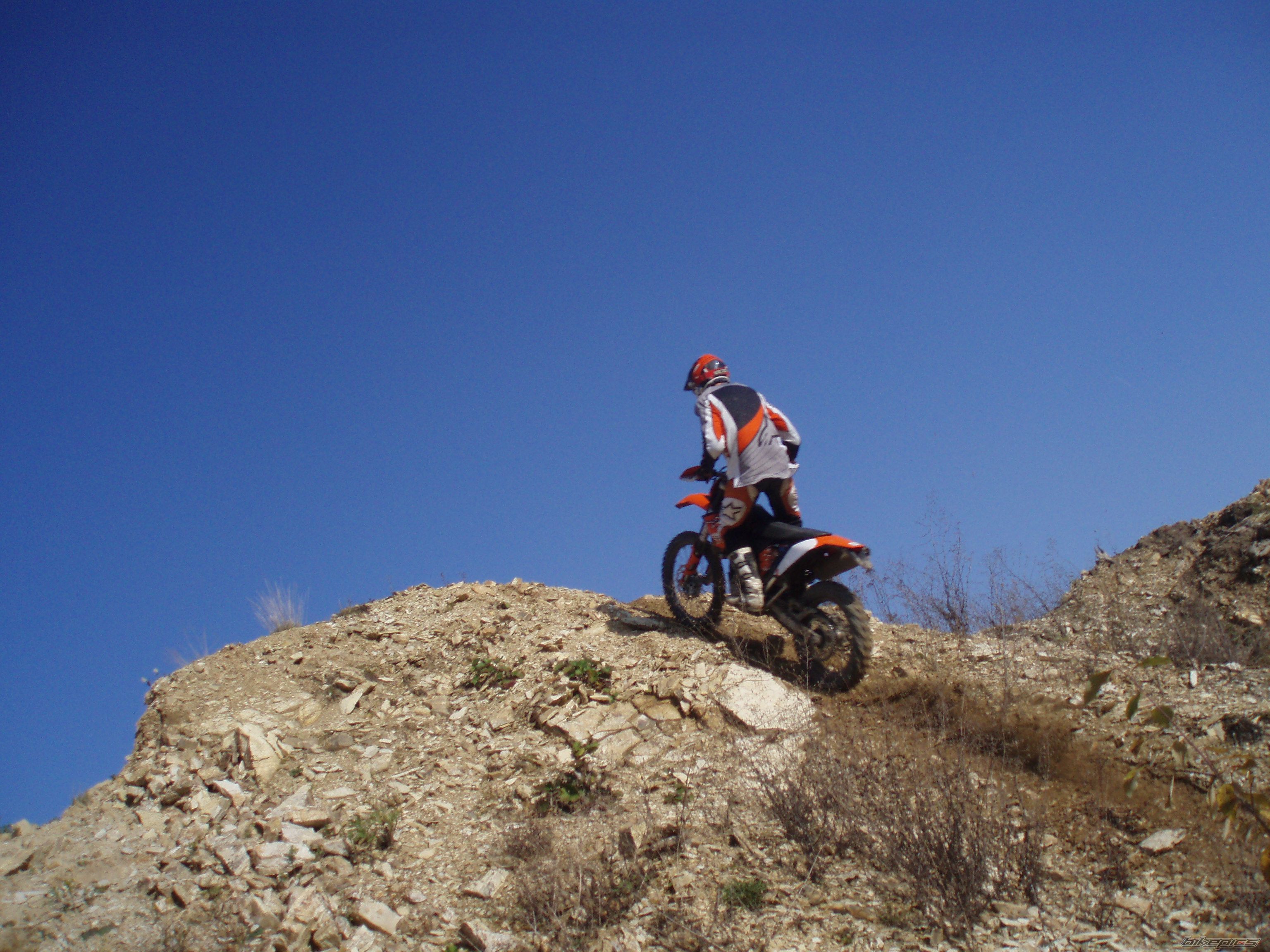 Photo 1521446