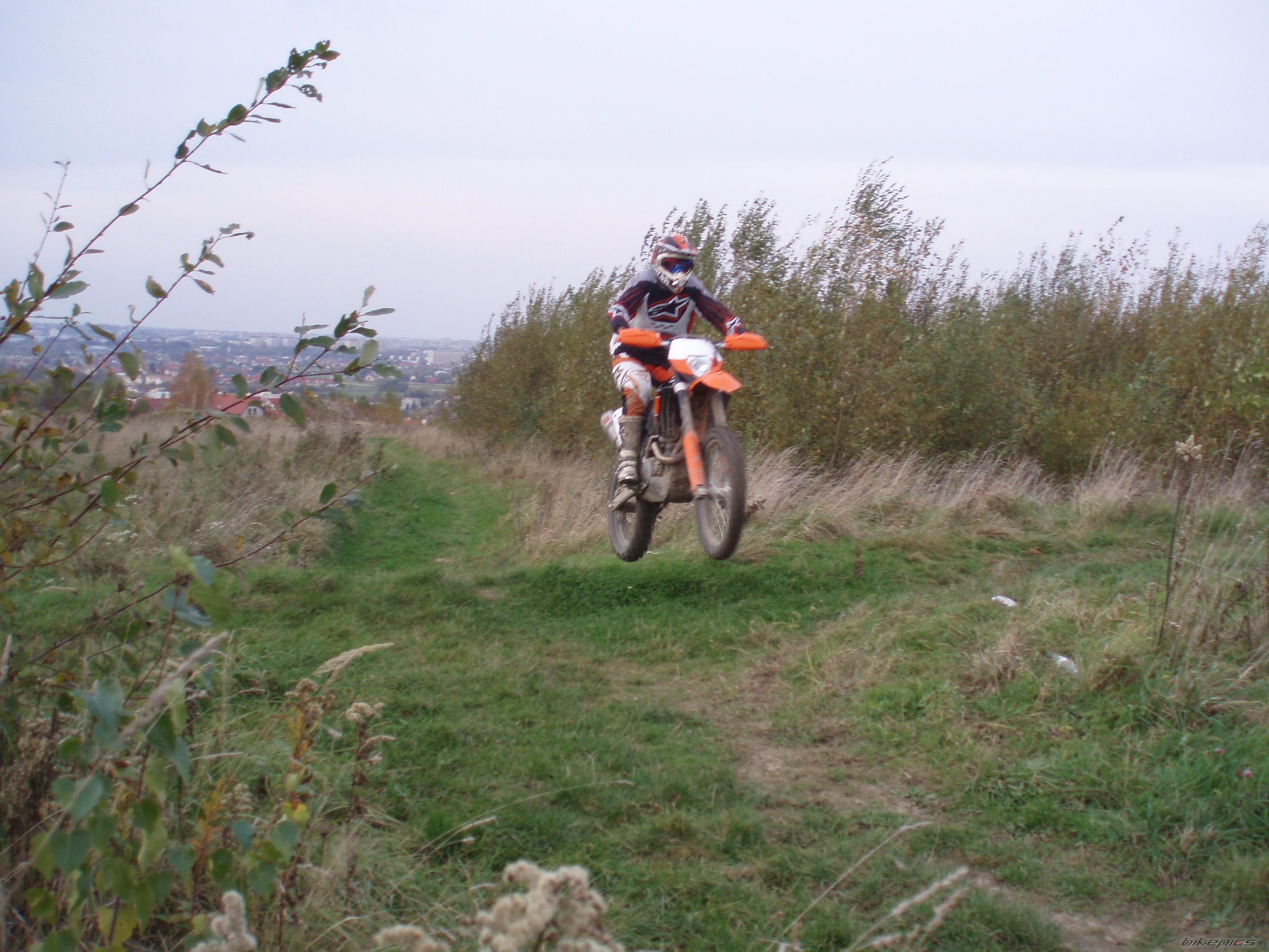 Photo 1521461