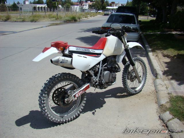 Photo 1521505