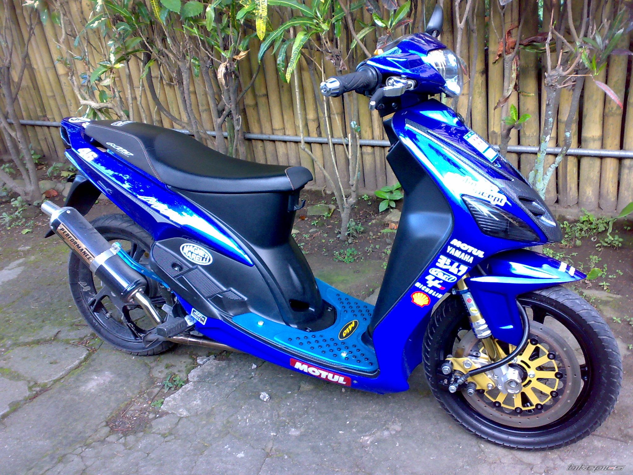 Photo 1521533
