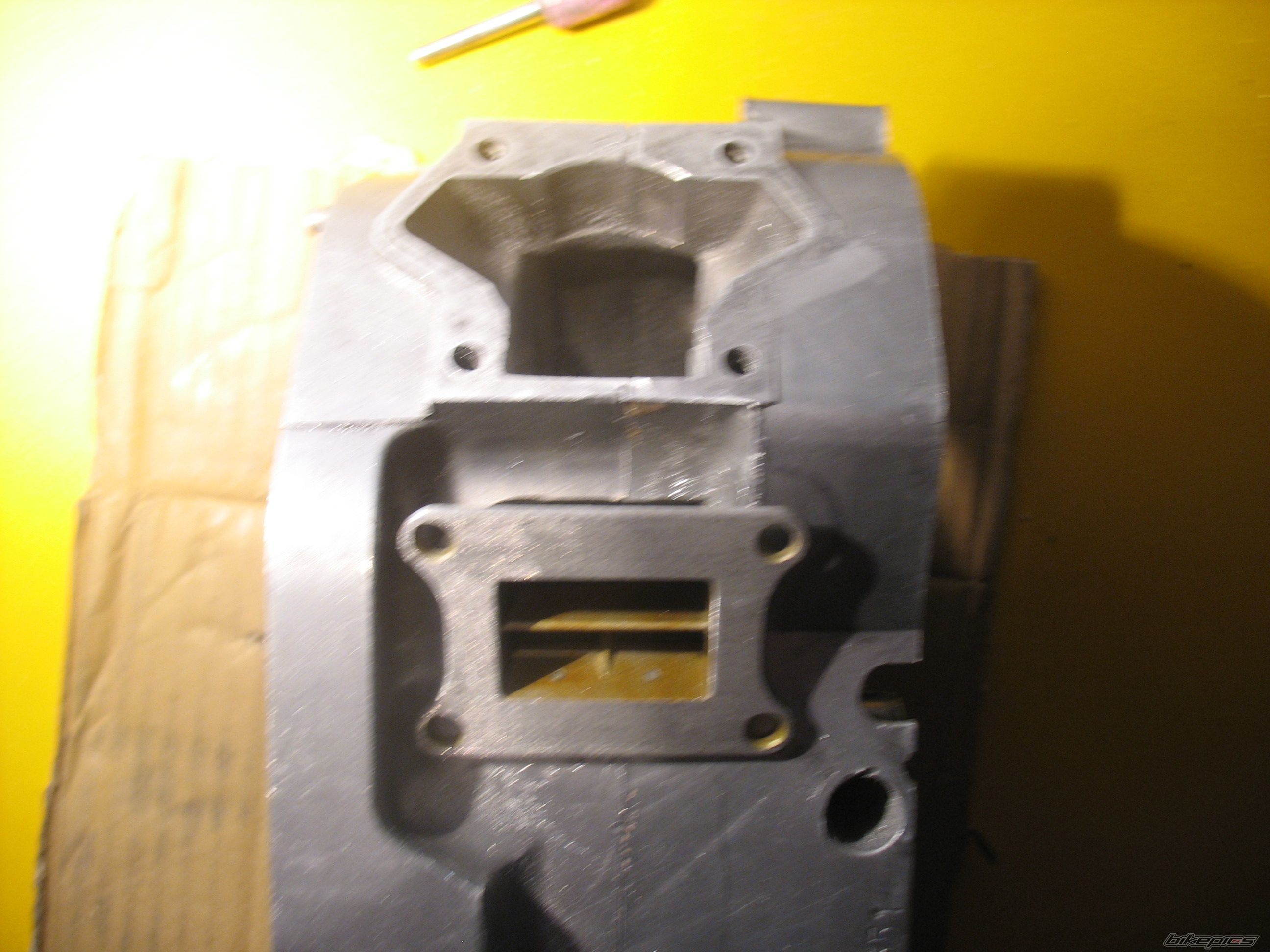 Photo 1521562