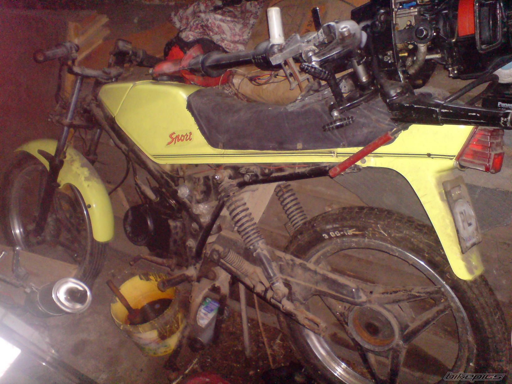 Photo 1521584