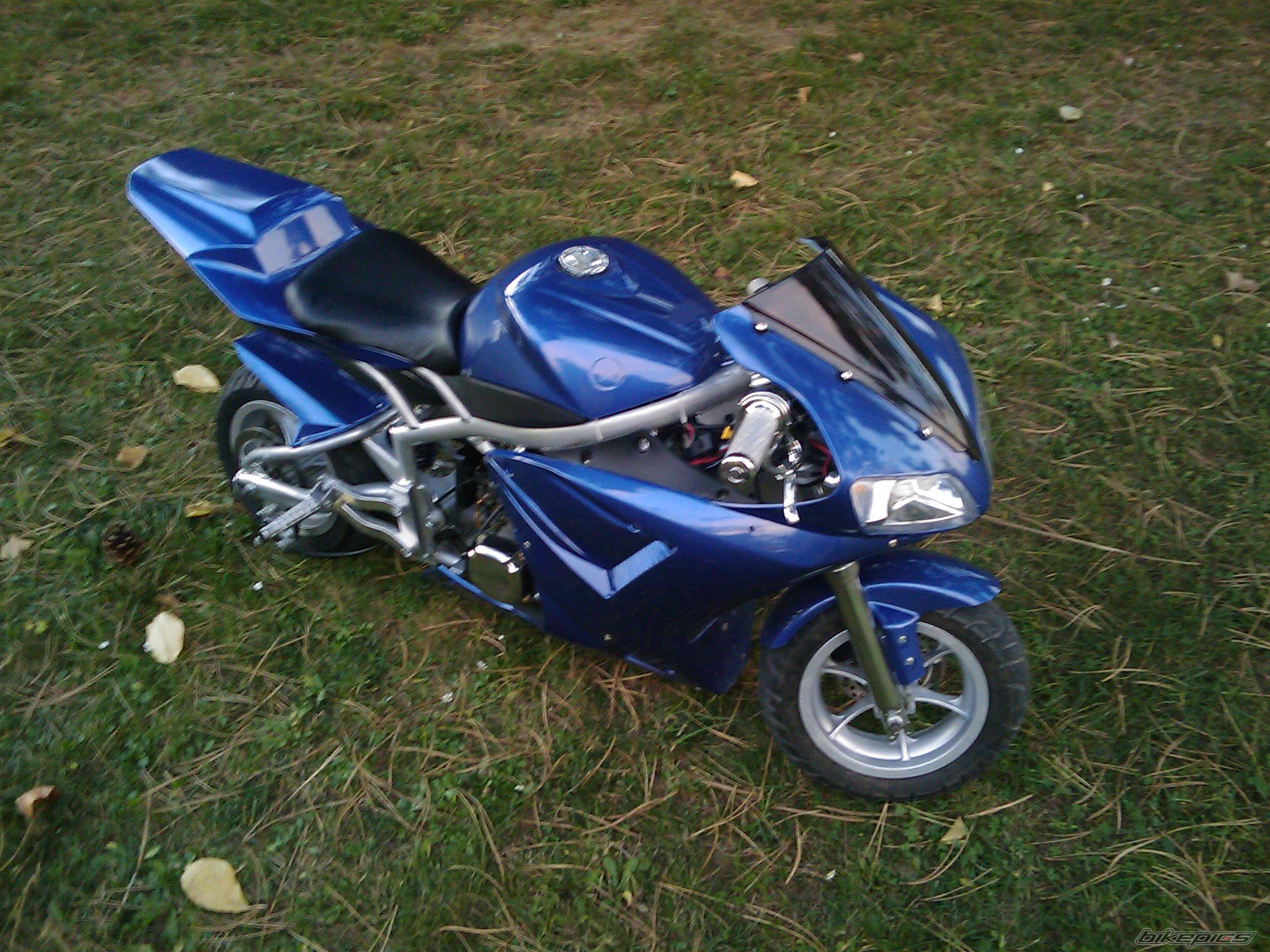 Photo 1521700