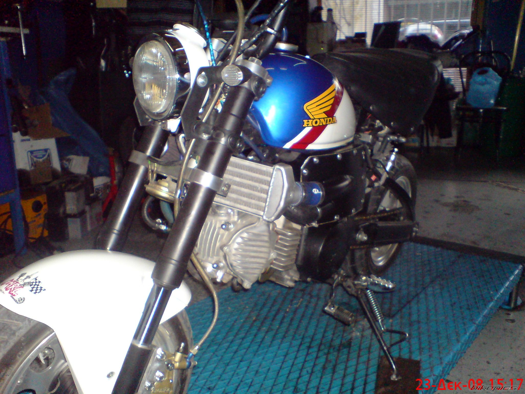 Photo 1521767
