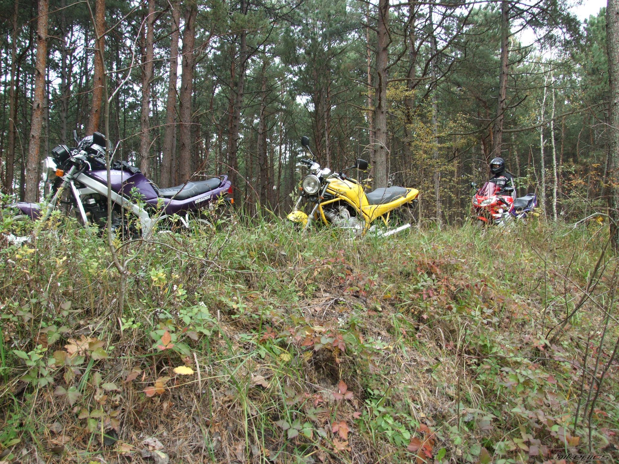 Photo 1521850
