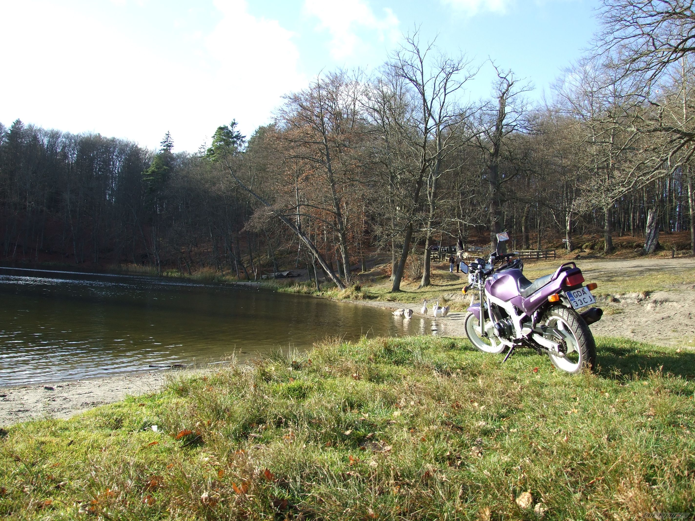 Photo 1521862