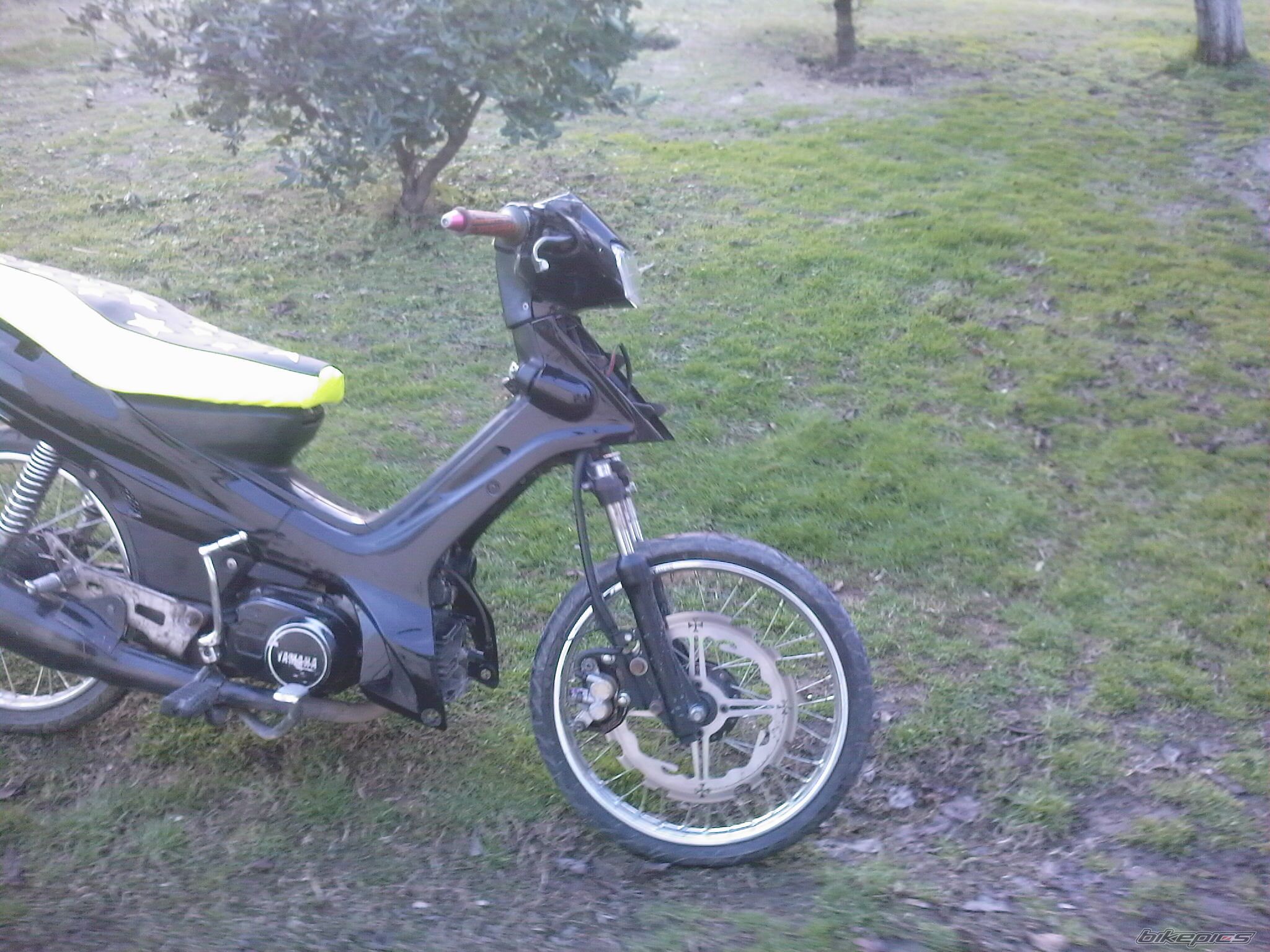 Photo 1521879