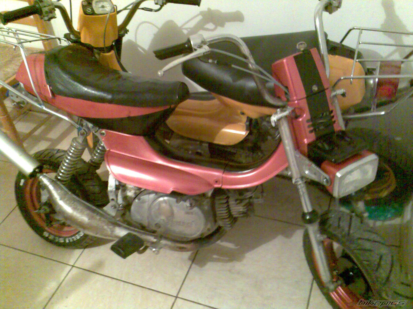 Photo 1521920