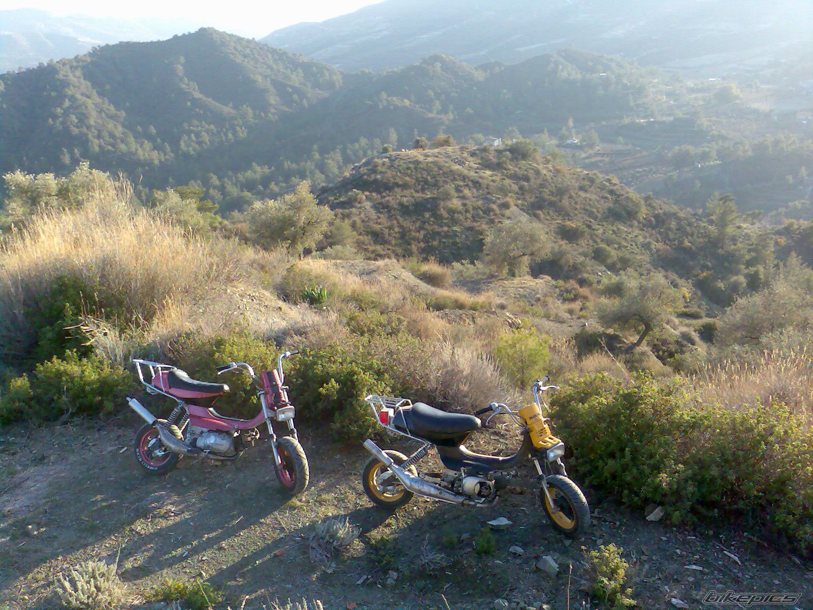 Photo 1521931