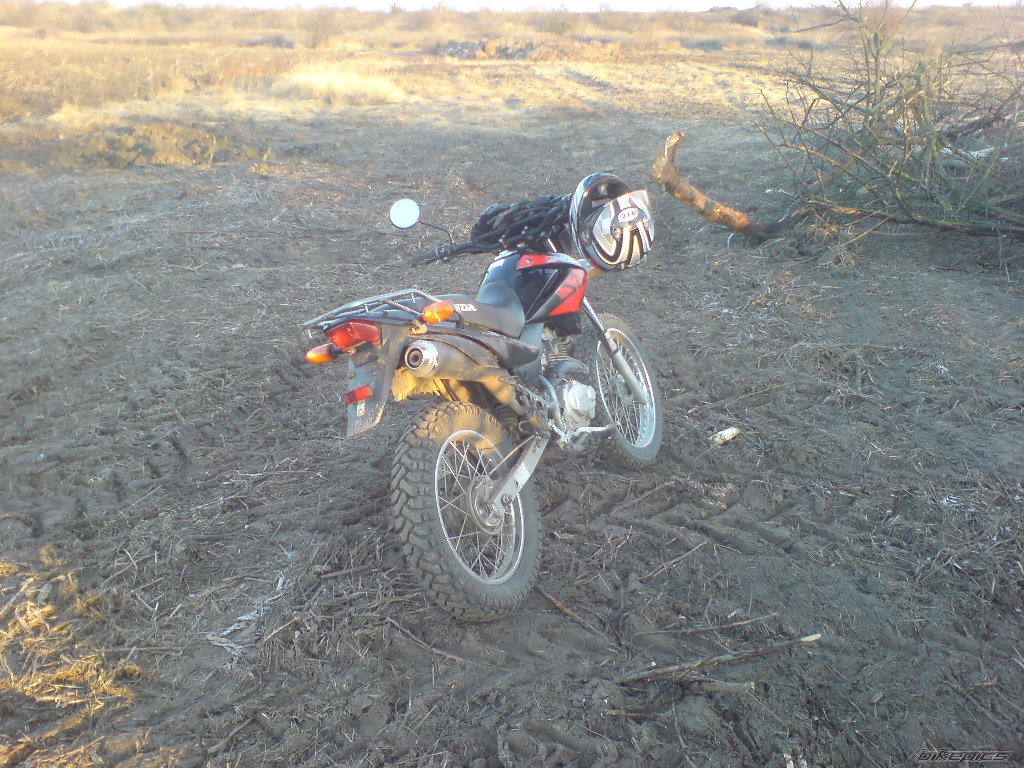 Photo 1521975