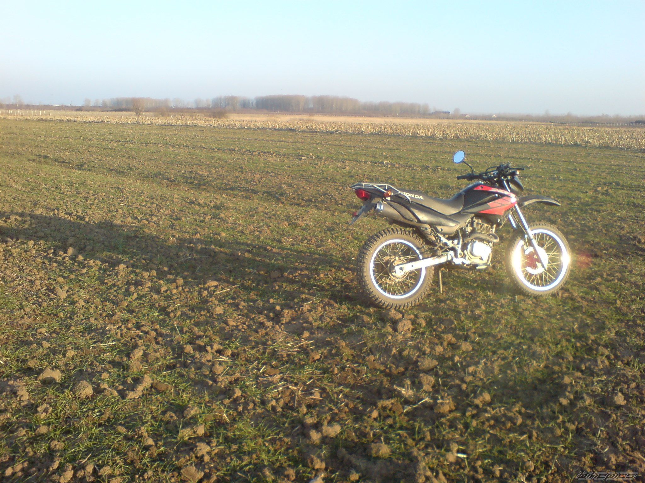 Photo 1521977