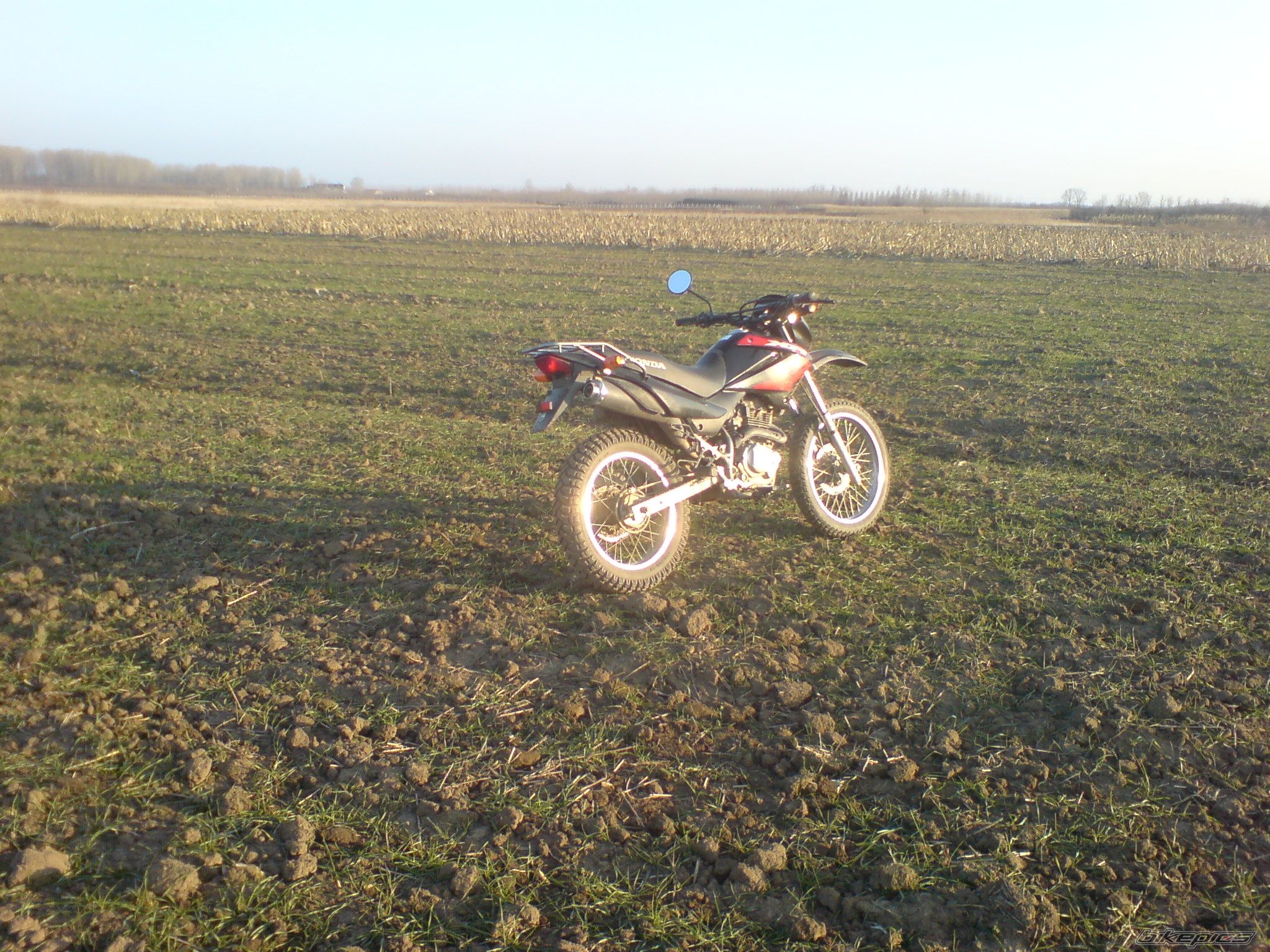 Bike Photo 1521978
