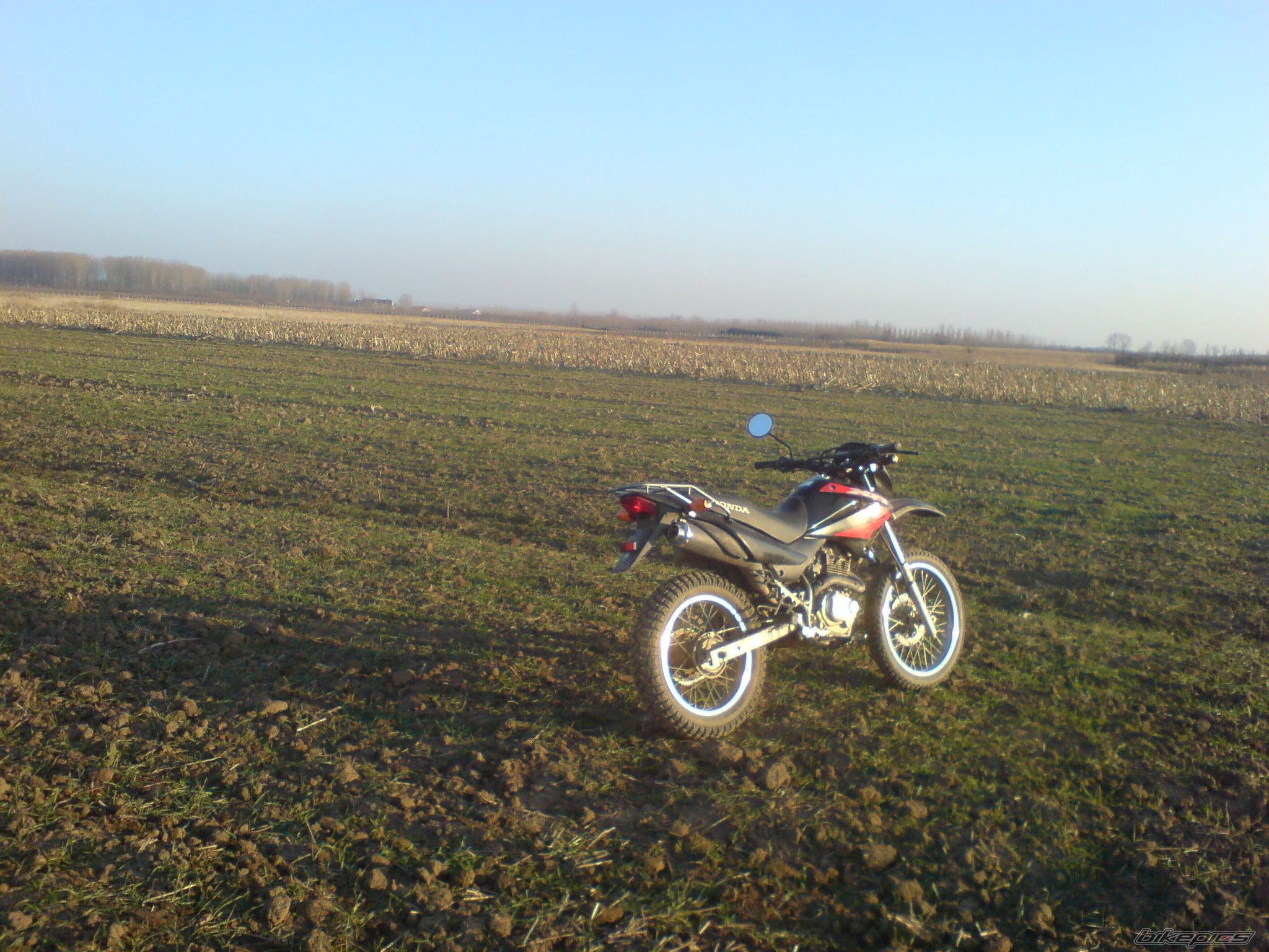 Bike Photo 1521981