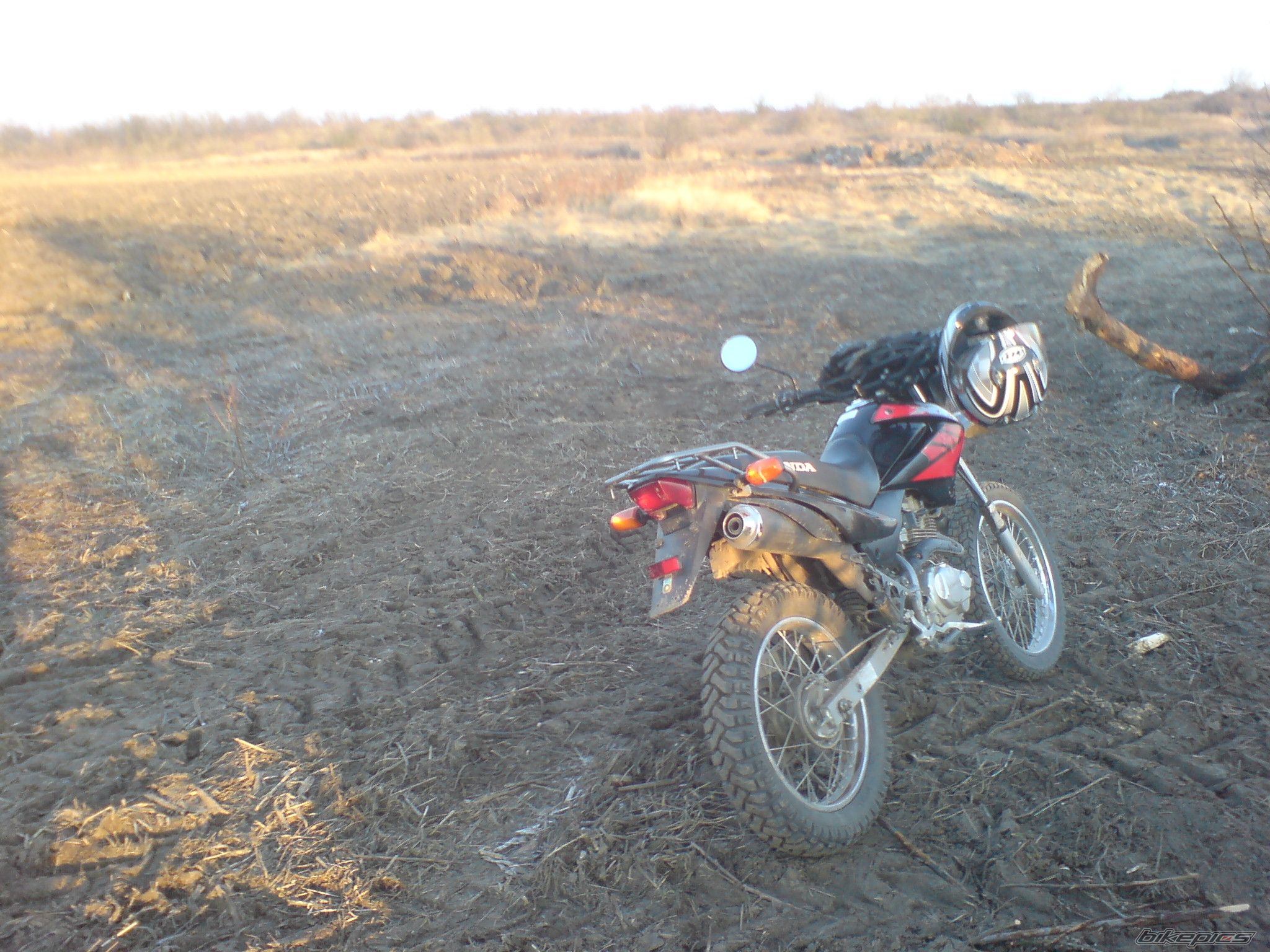 Bike Photo 1521998