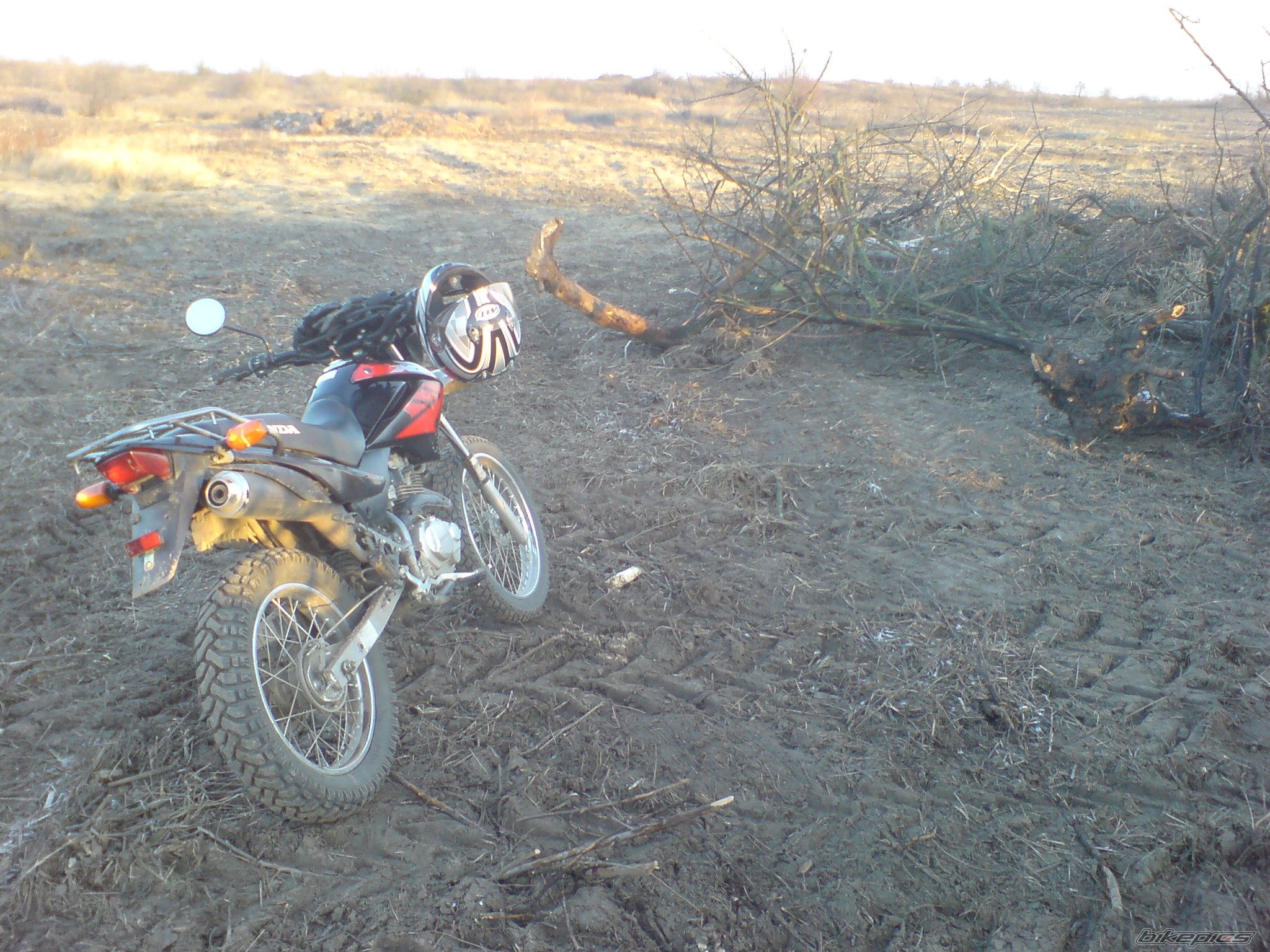 Bike Photo 1522001