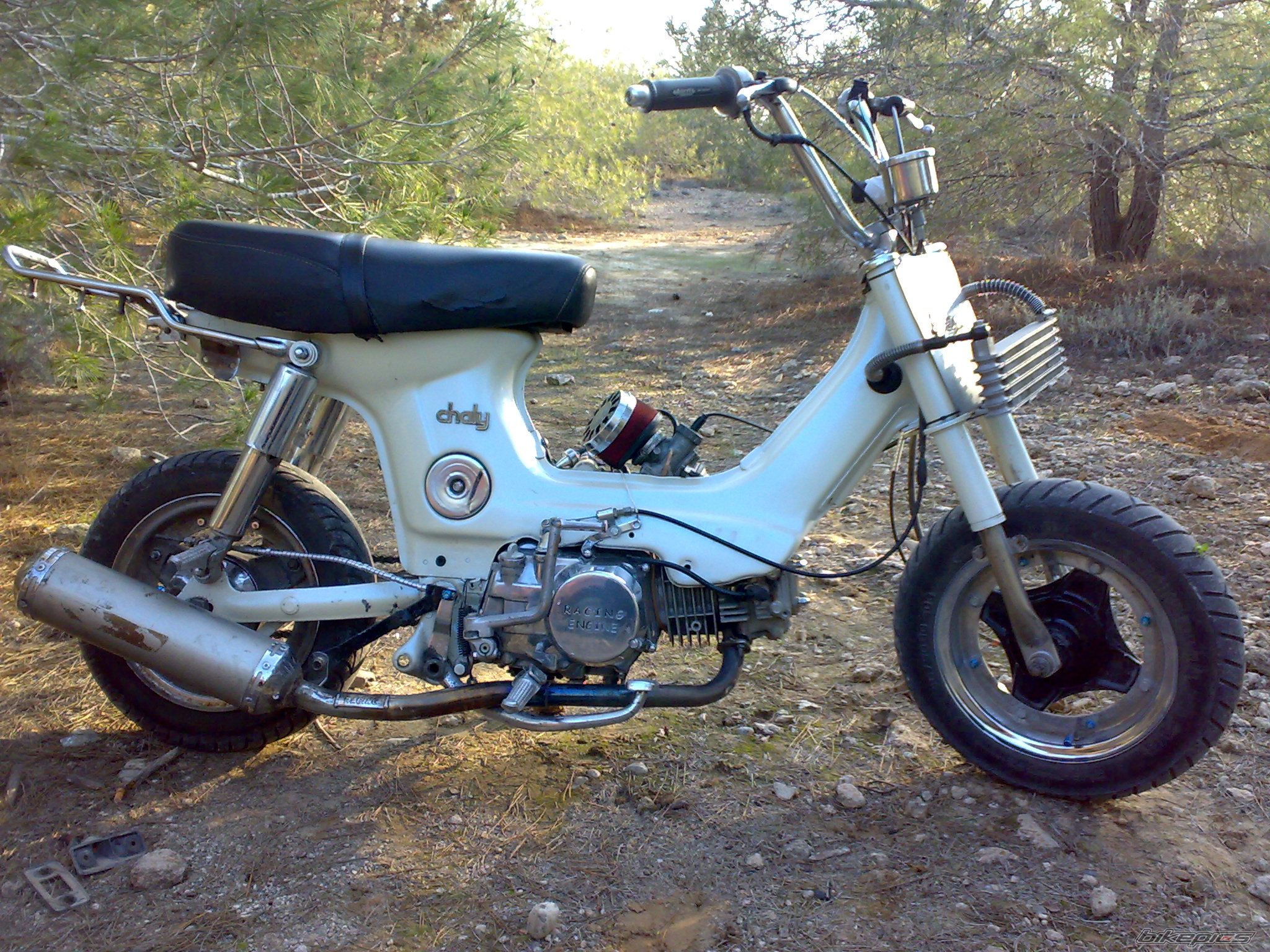 Photo 1522064