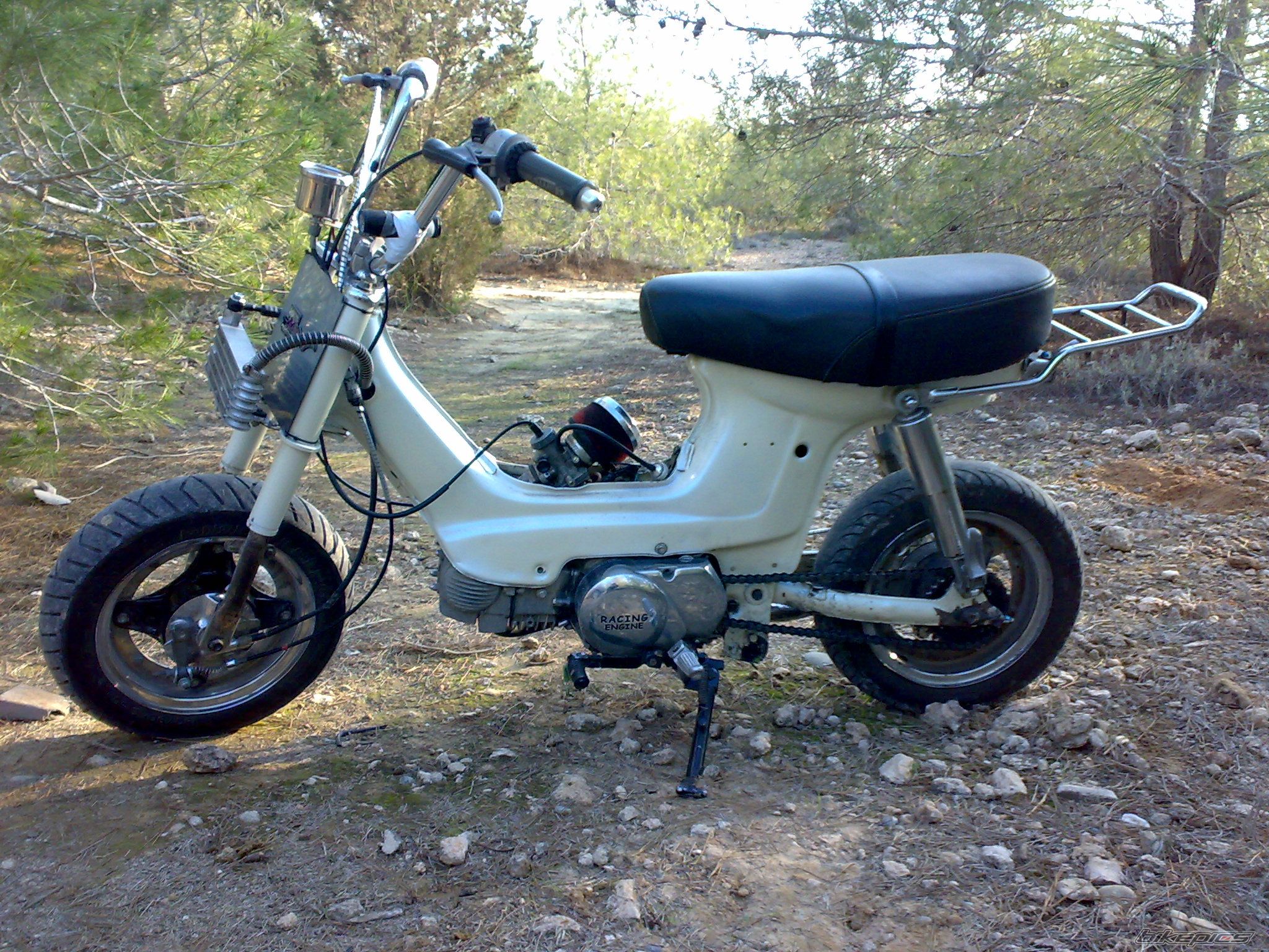 Photo 1522071