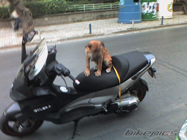 Bike Photo 1522170