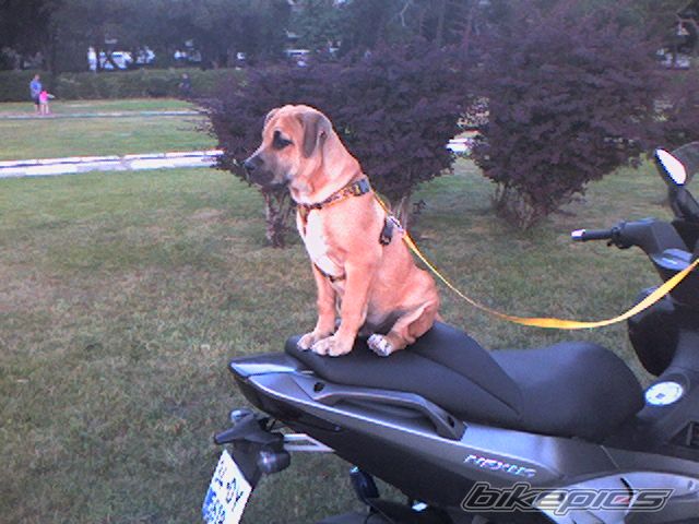 Photo 1522171