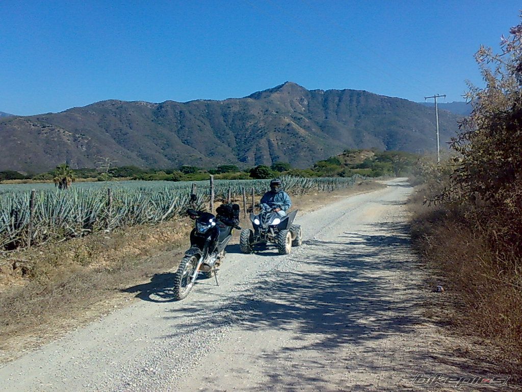 Photo 1522203
