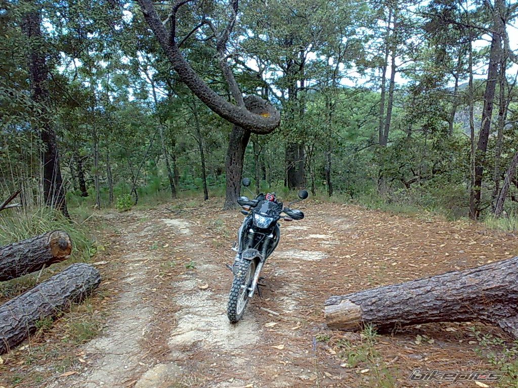 Photo 1522205
