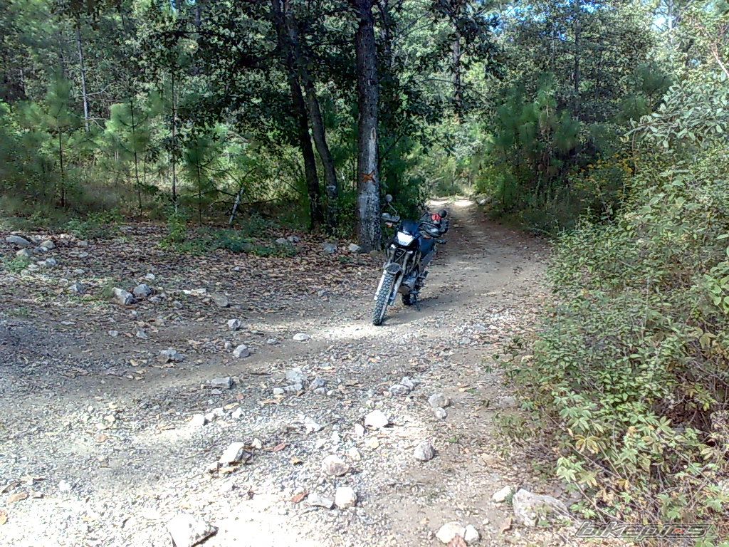 Photo 1522207