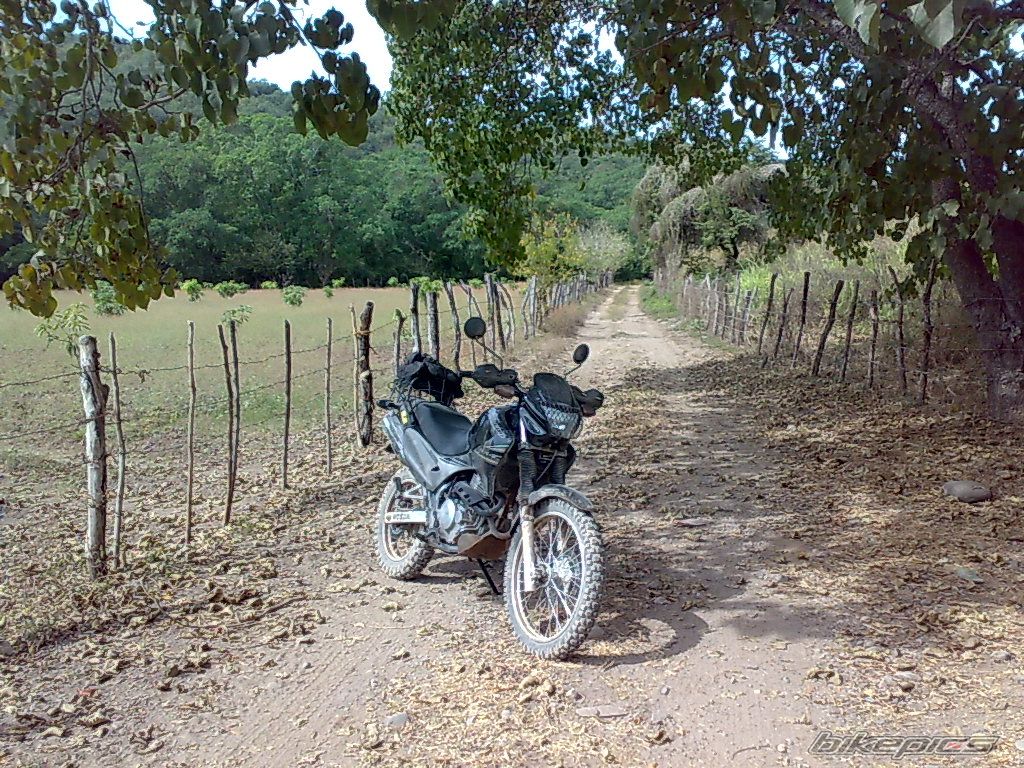 Photo 1522208