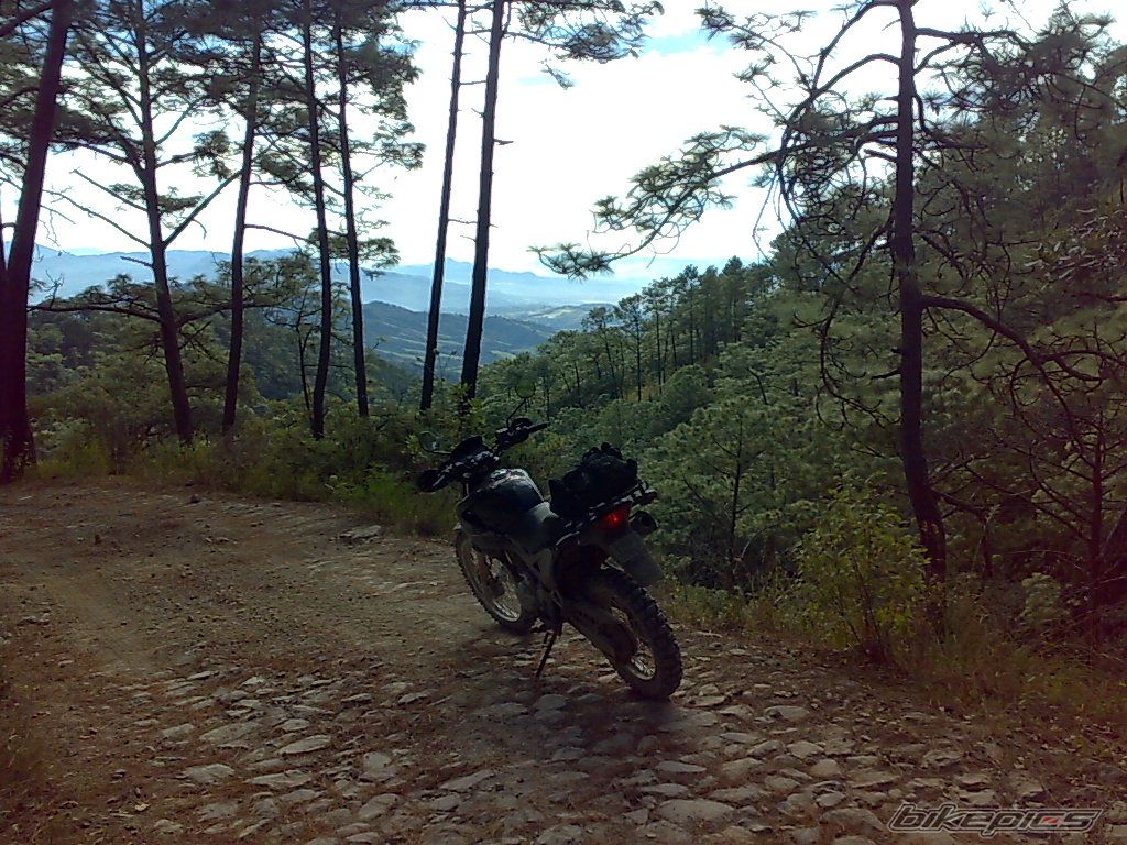 Photo 1522213