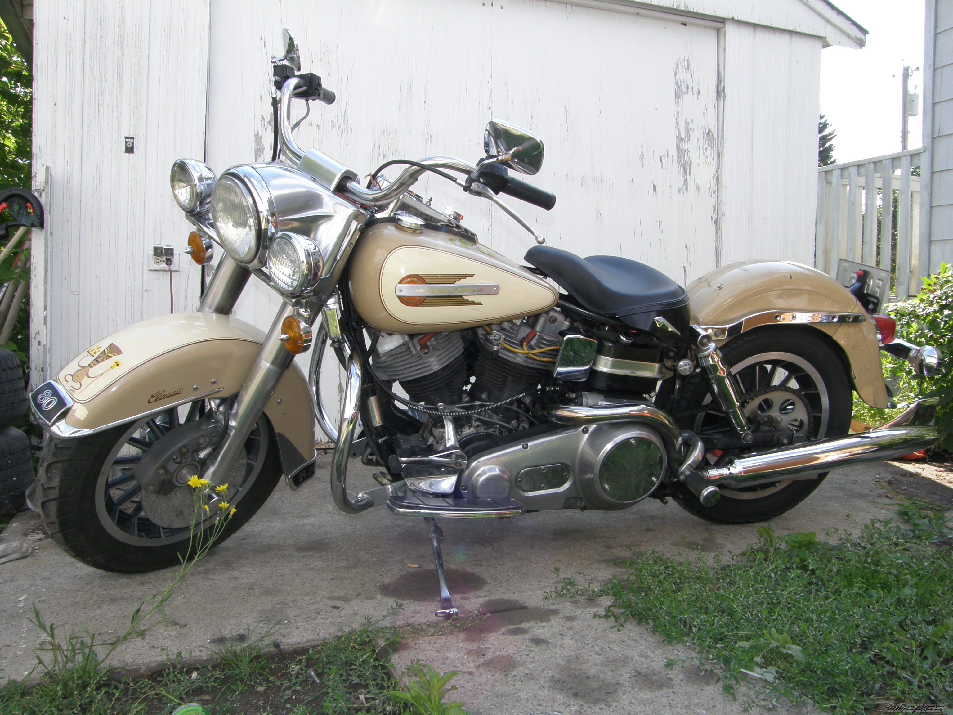 Photo 1522249