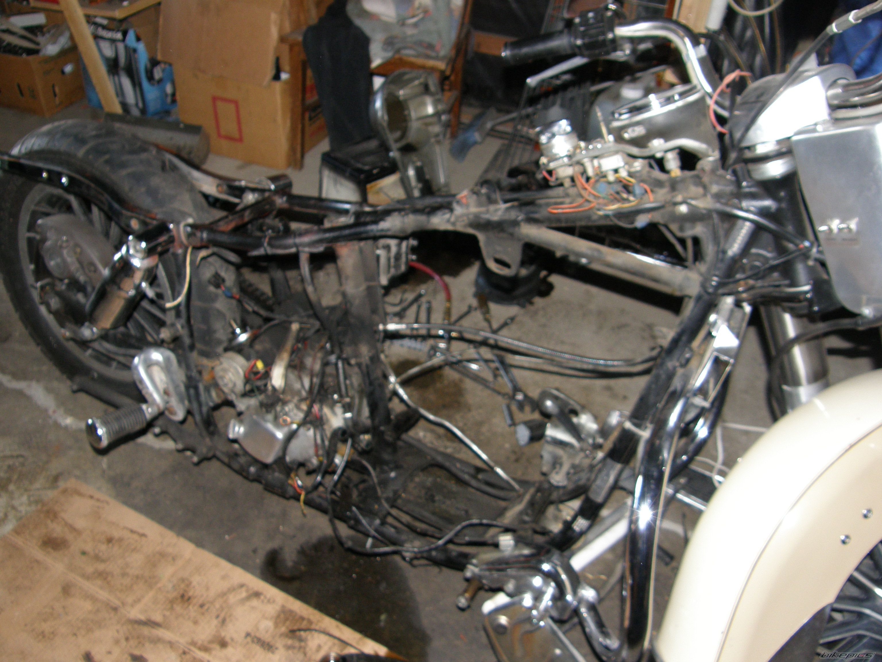 Photo 1522250