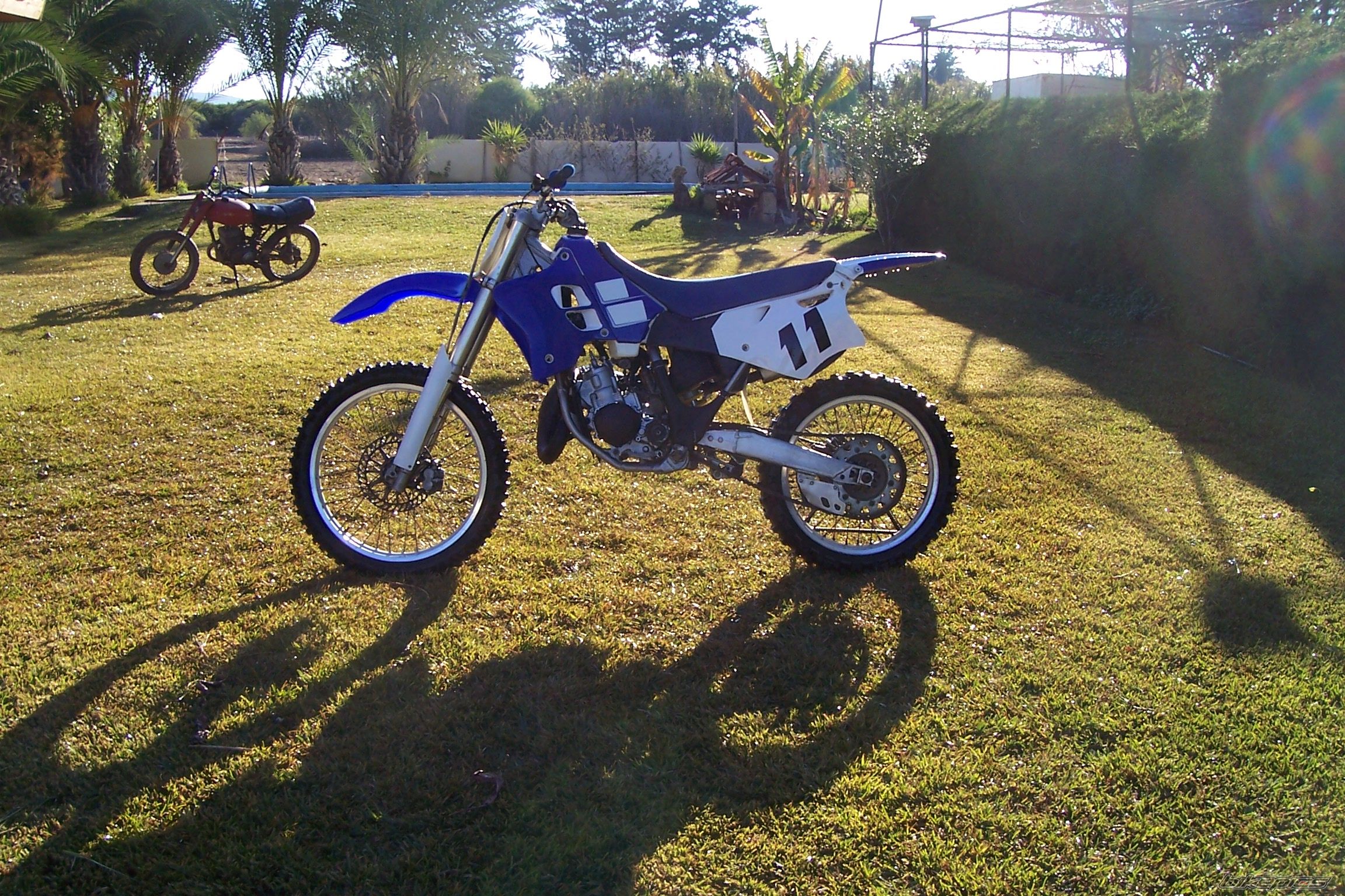Photo 1522378