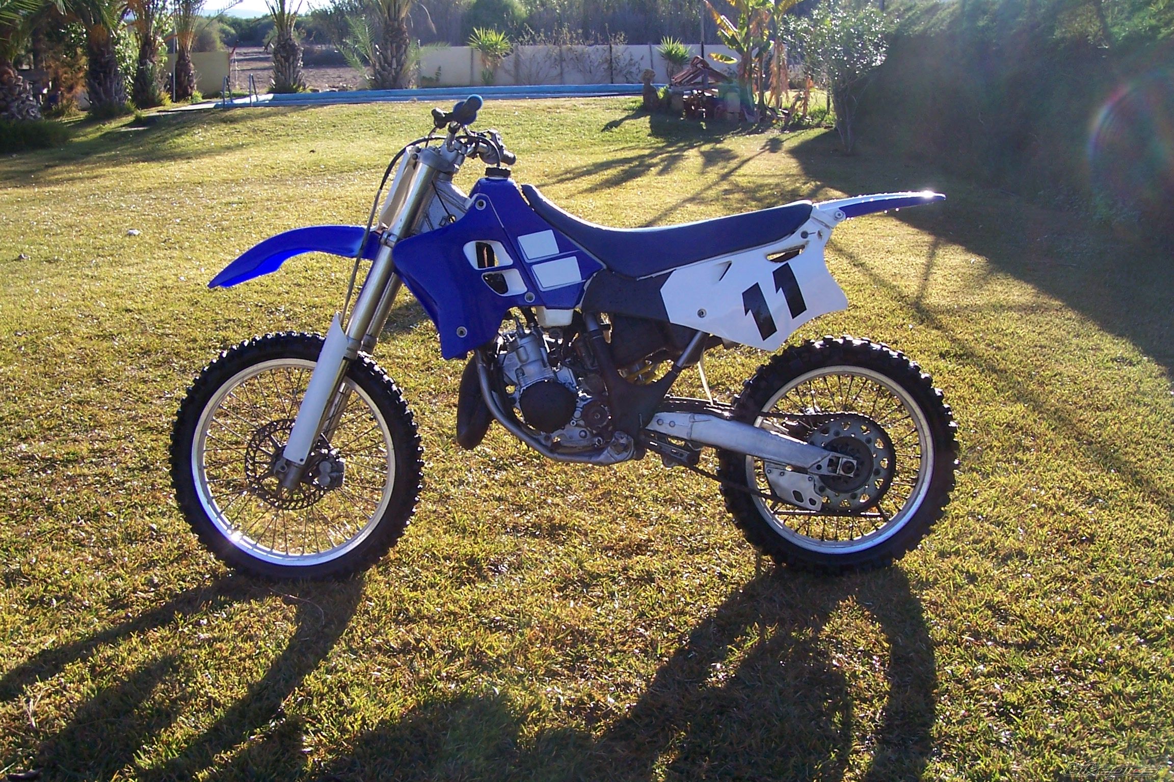 Photo 1522382