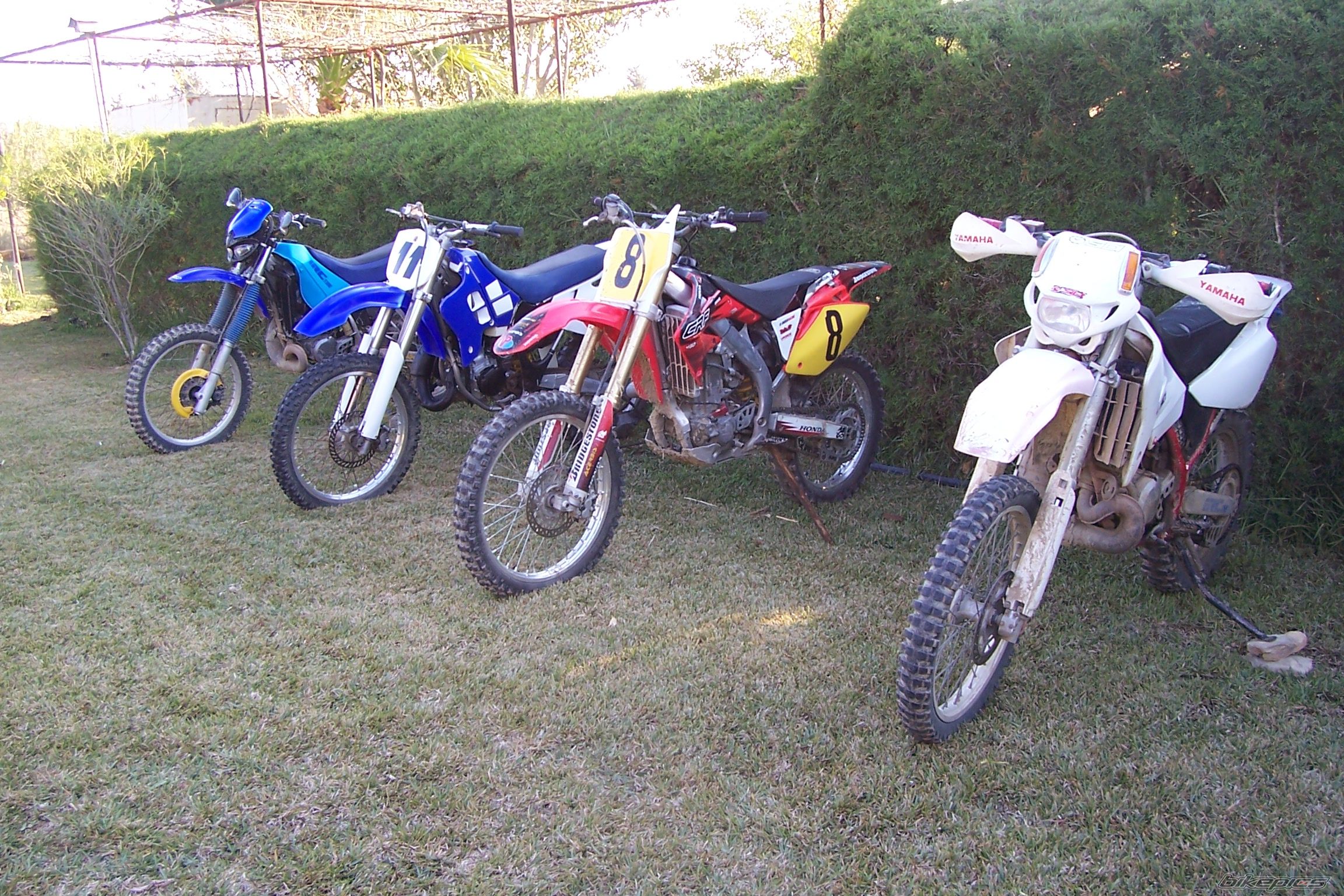 Photo 1522385