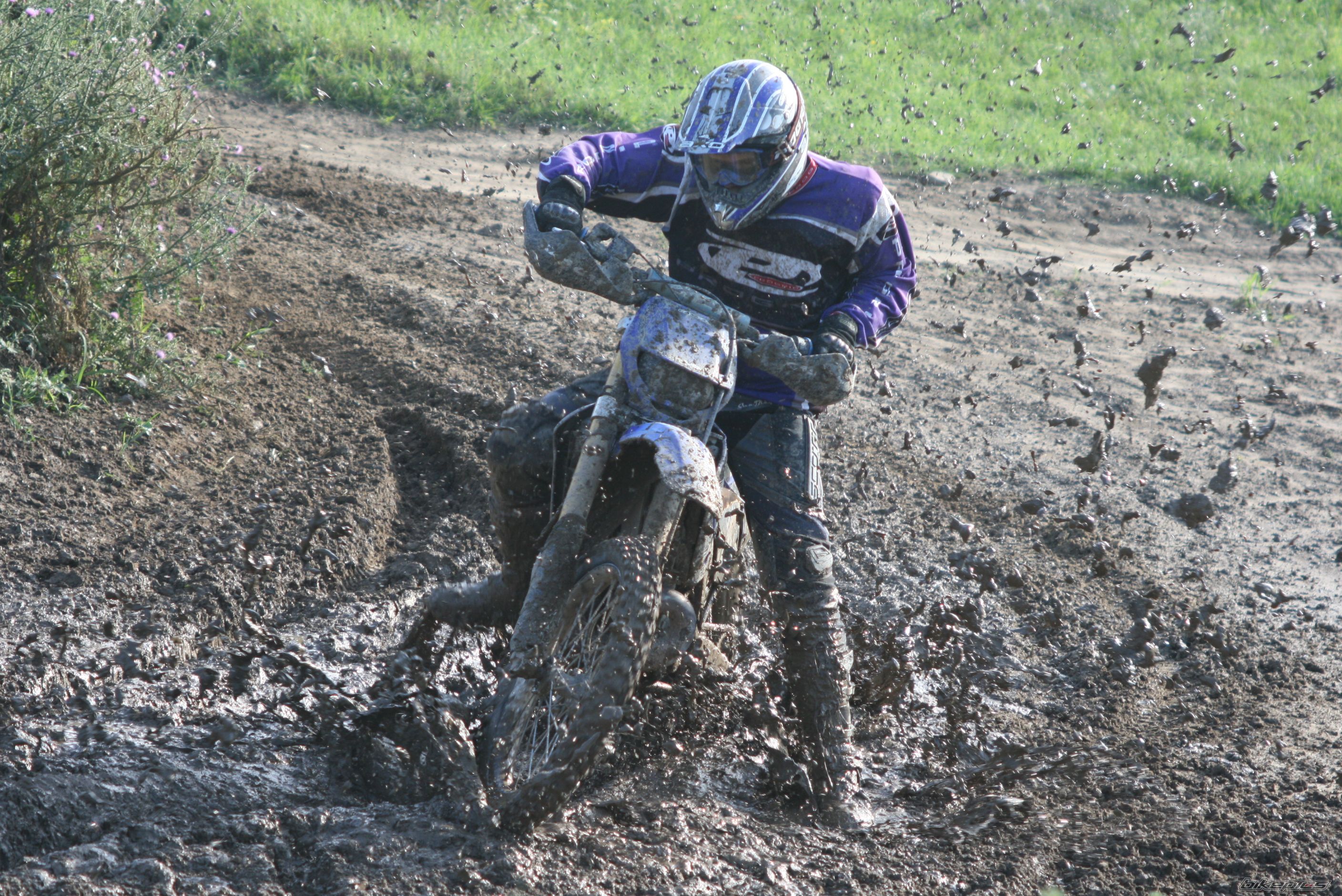 Photo 1522660