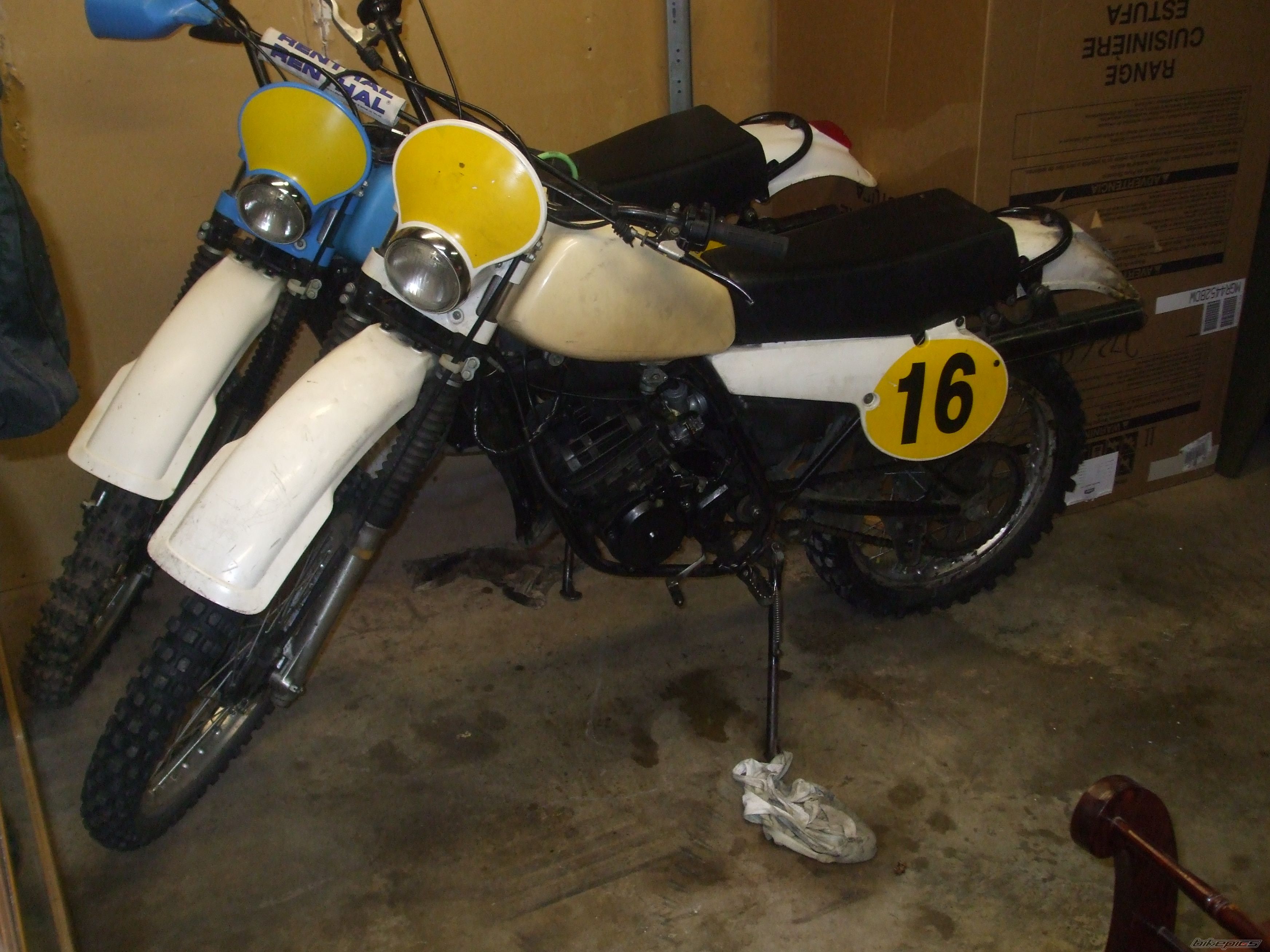 Photo 1523387