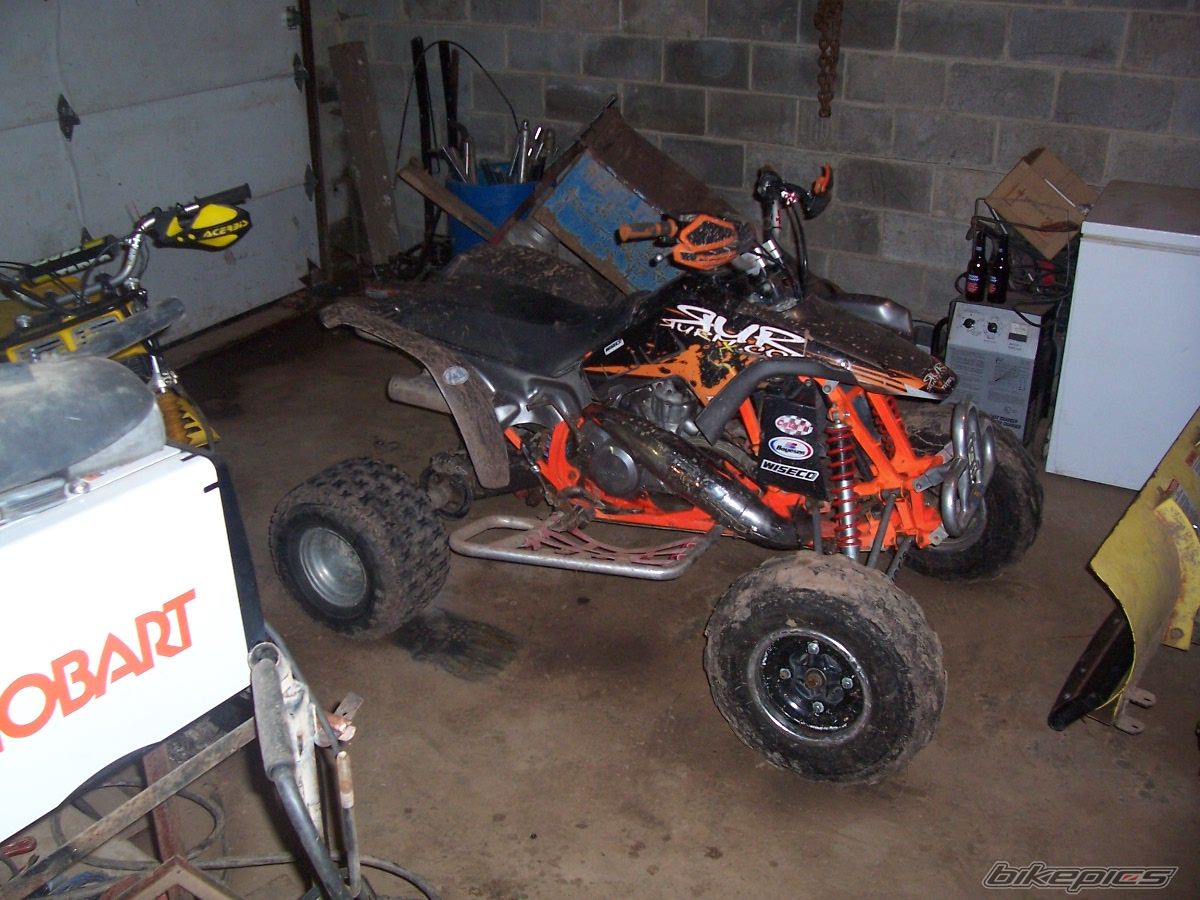 Photo 1523440