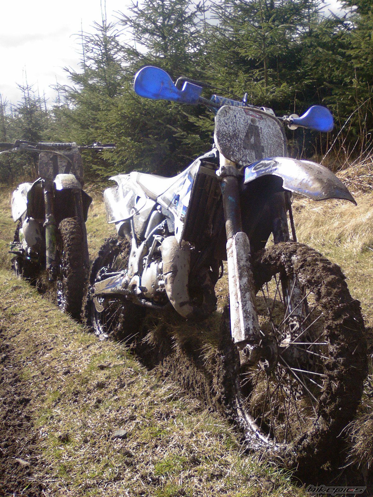 Photo 1523445