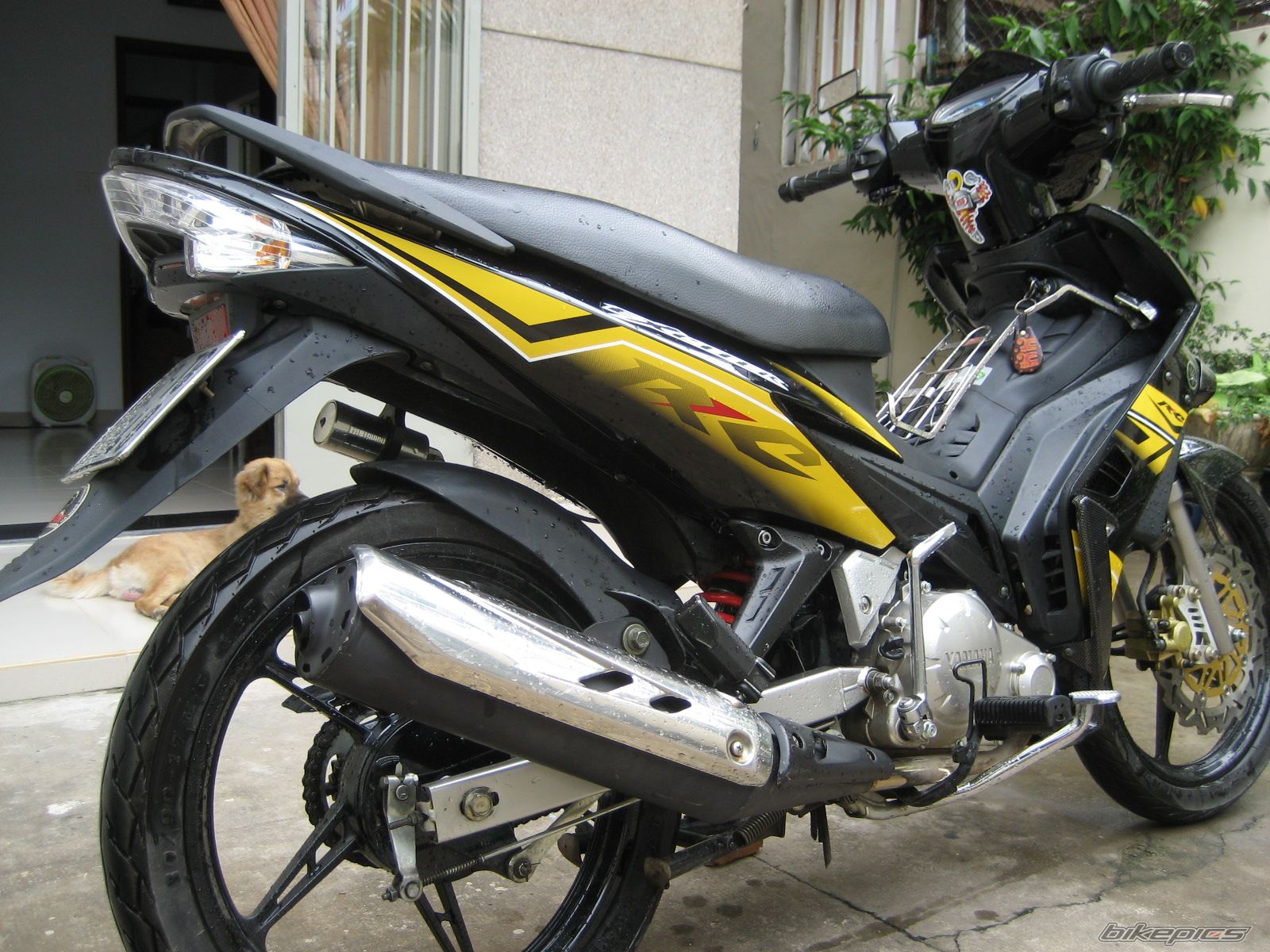 Bike Photo 1523465