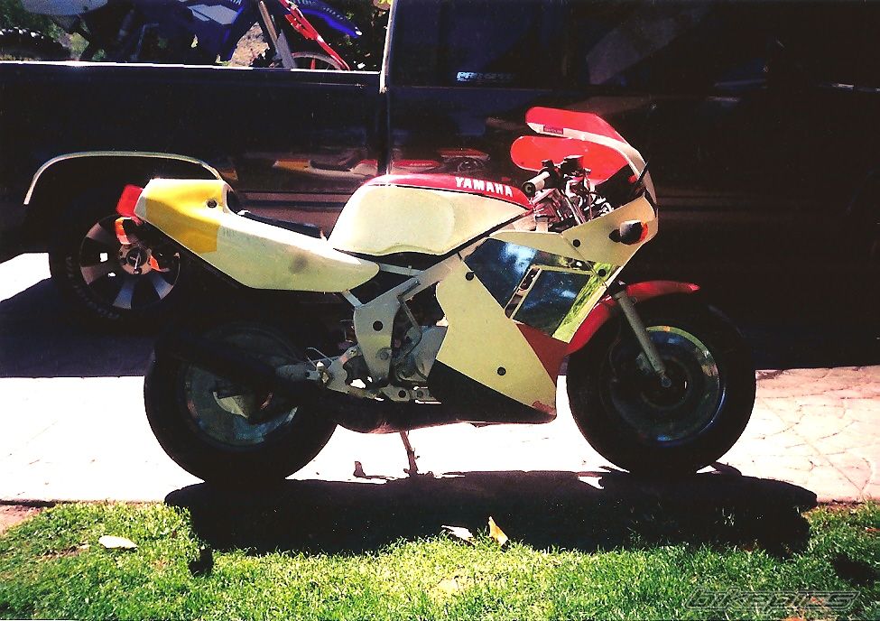 Photo 1523482