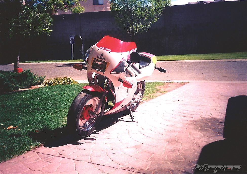 Photo 1523484
